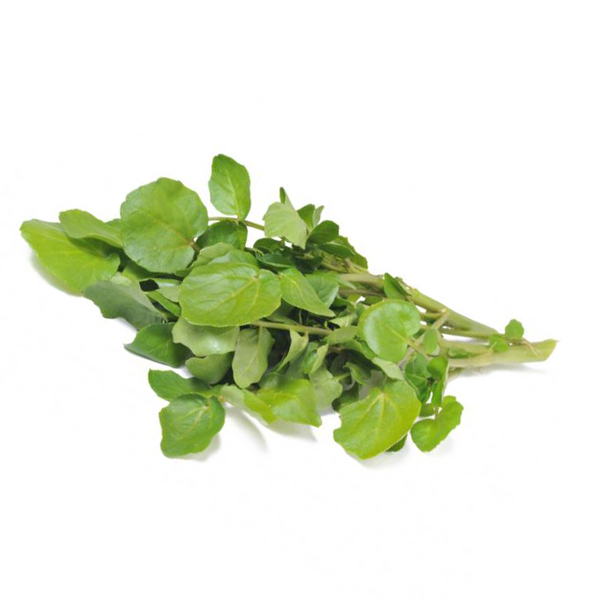 Wild Watercress — Regalis