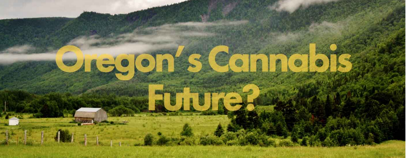 Four years ago Chris and his wife bought a beautiful ranch-style house with a nice bit of land in Oregon, eager to raise their two daughters and make a living providing medical marijuana to patients in need. They were hopeful and excited to support …