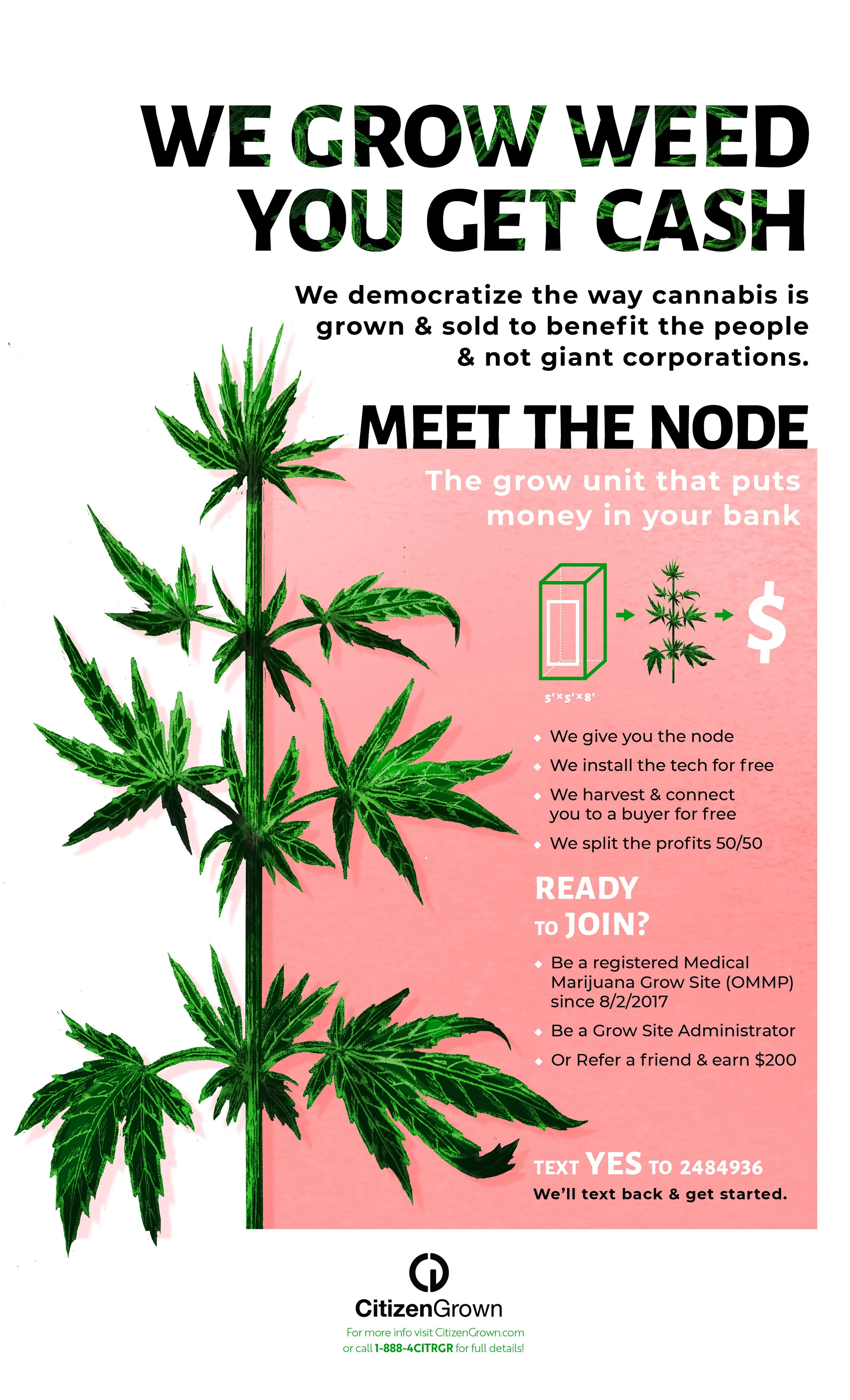 Brochures &amp; Catalogs