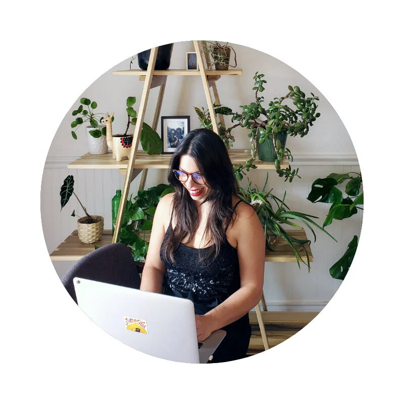 I'm Your Persuasion Maven