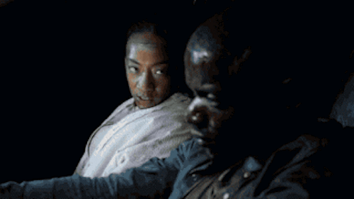 shawn4.gif