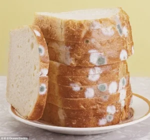 old ass bread.jpg