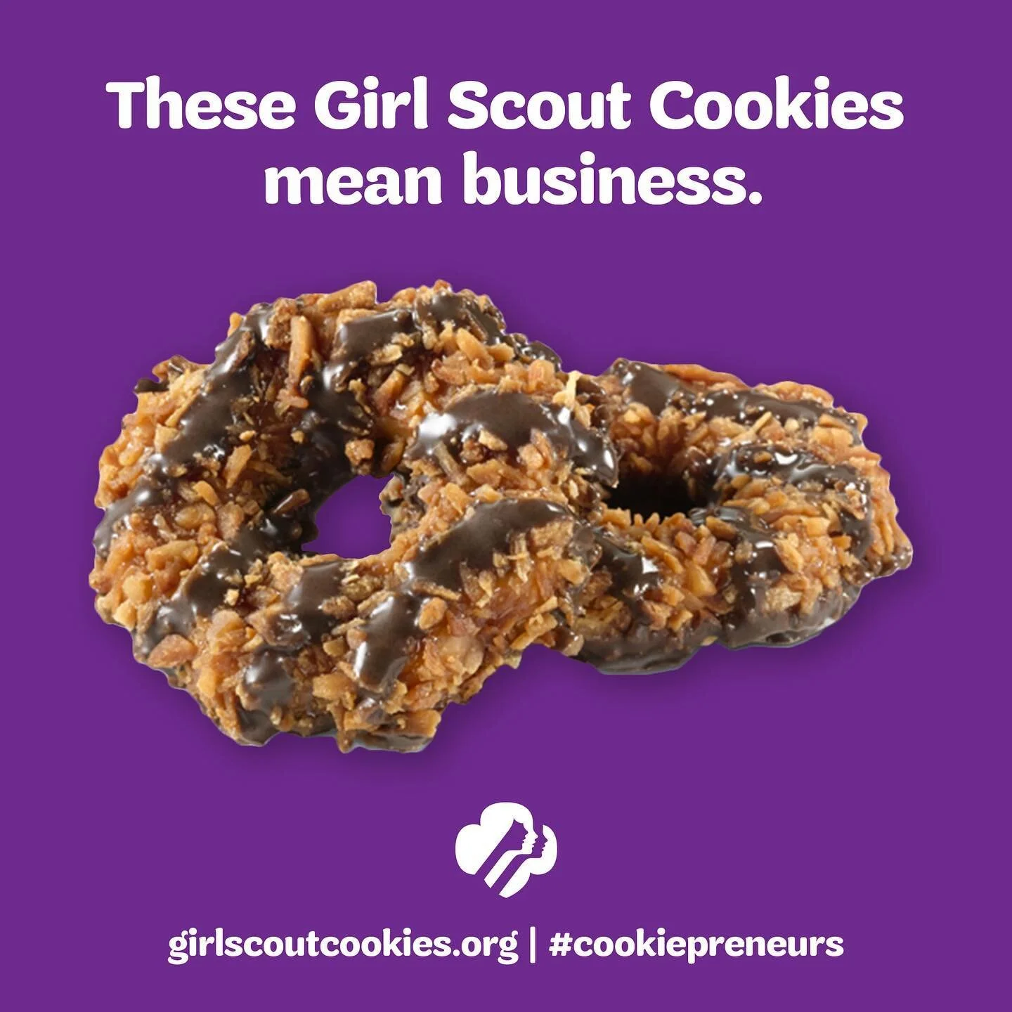 In 2020, we developed a social influencer toolkit featuring designed graphics, animated gifs, product photography, and messaging to support local Girl Scouts&rsquo; Cookie businesses. This toolkit was utilized via the councils&rsquo; owned channels, 