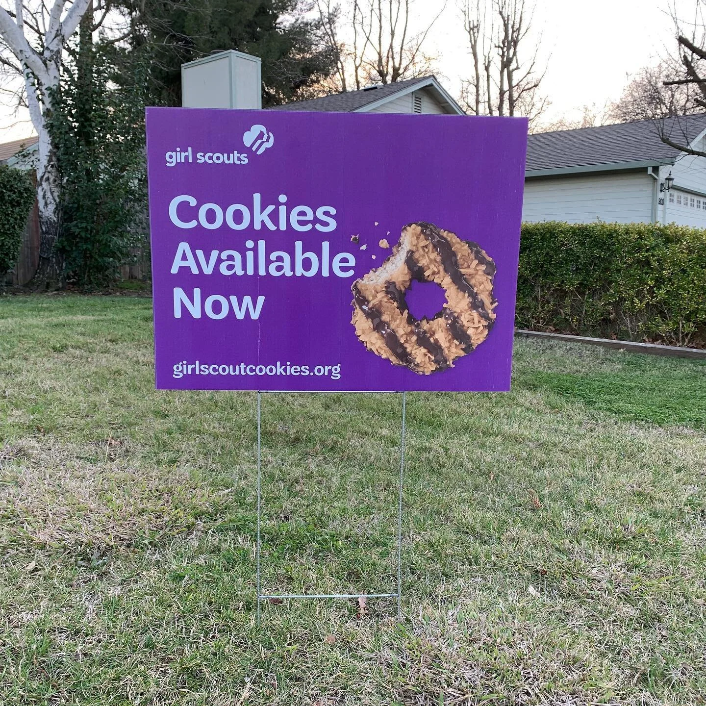 New cookie marketing pilot for 2020: Girl Scout Cookie lawn signs, designed to match this year&rsquo;s billboard campaign. They&rsquo;ll be used by parents and troop leaders  in regions where regions where TV and OOH advertising wasn&rsquo;t availabl