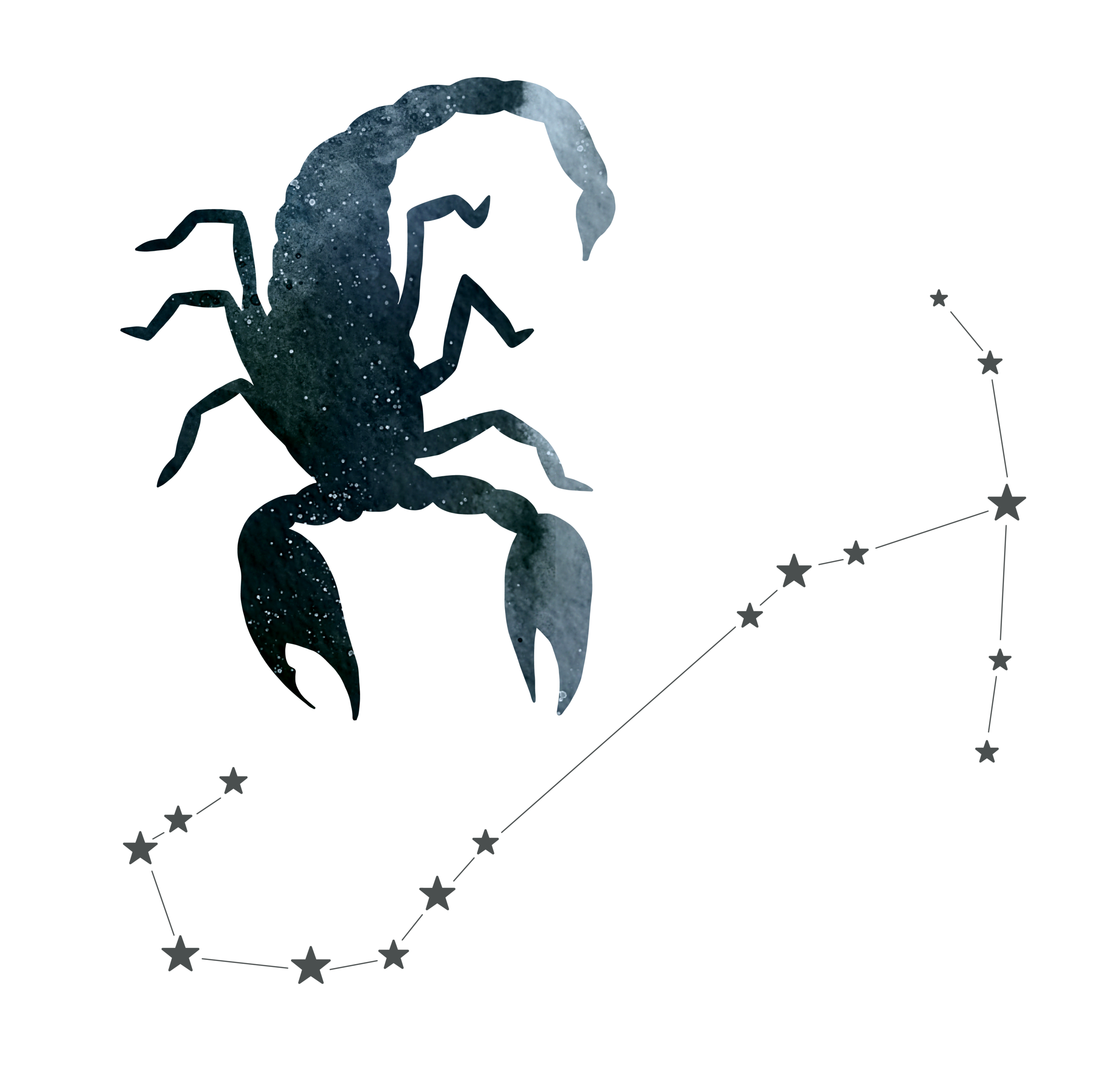 DCD_Blog_Astrology_Scorpio.png