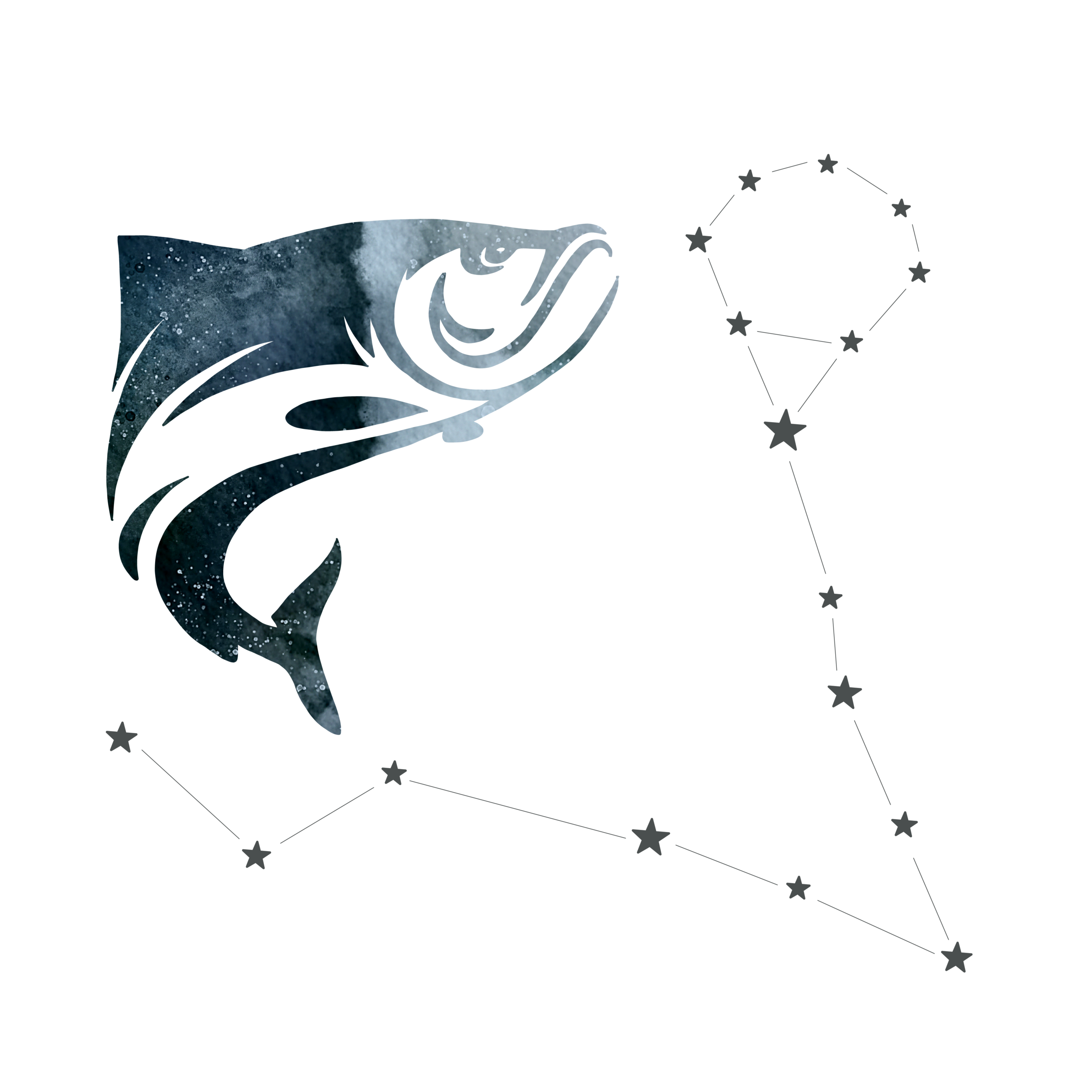 DCD_Blog_Astrology_Pisces.png