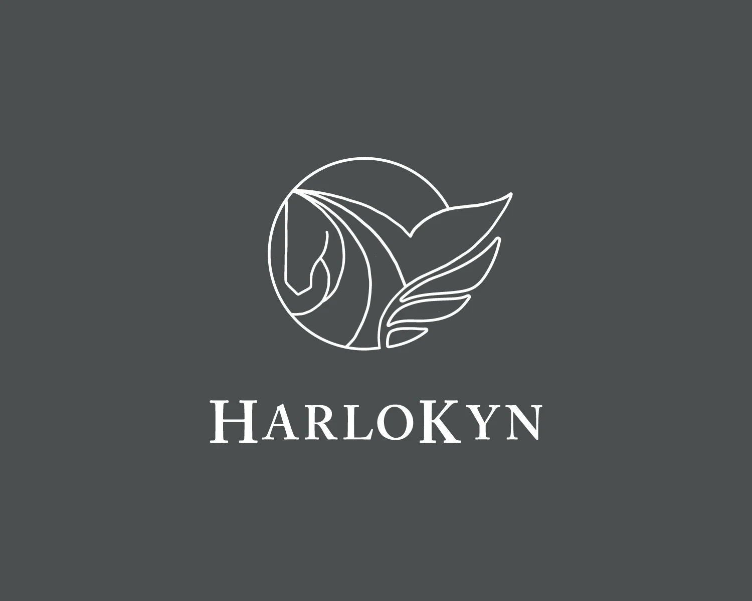 DCD_Portfolio_HarloKynLLC-01.jpg