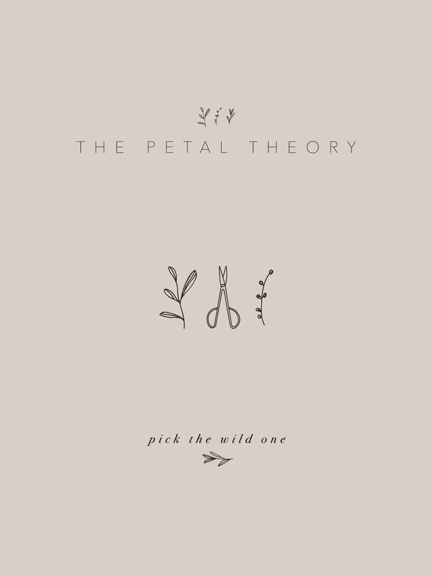 DCD_Portfolio_PetalTheory-06.jpg