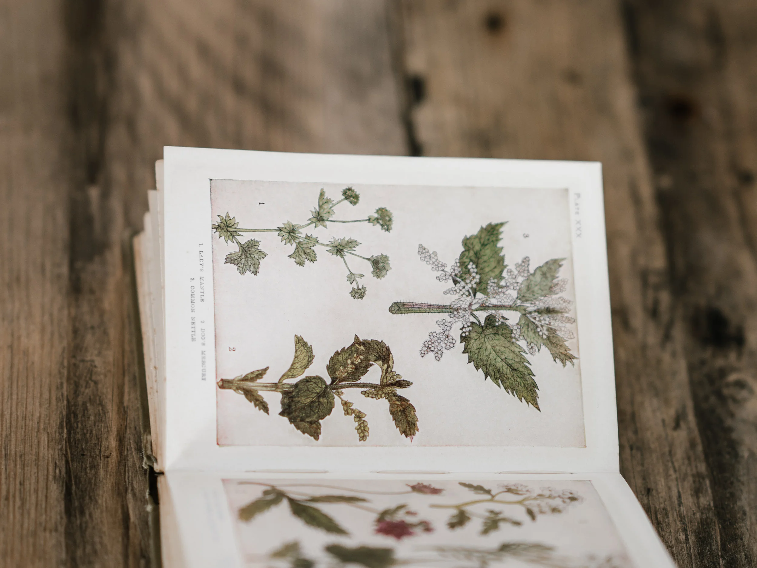 annie-spratt-749647-unsplash_2.jpg