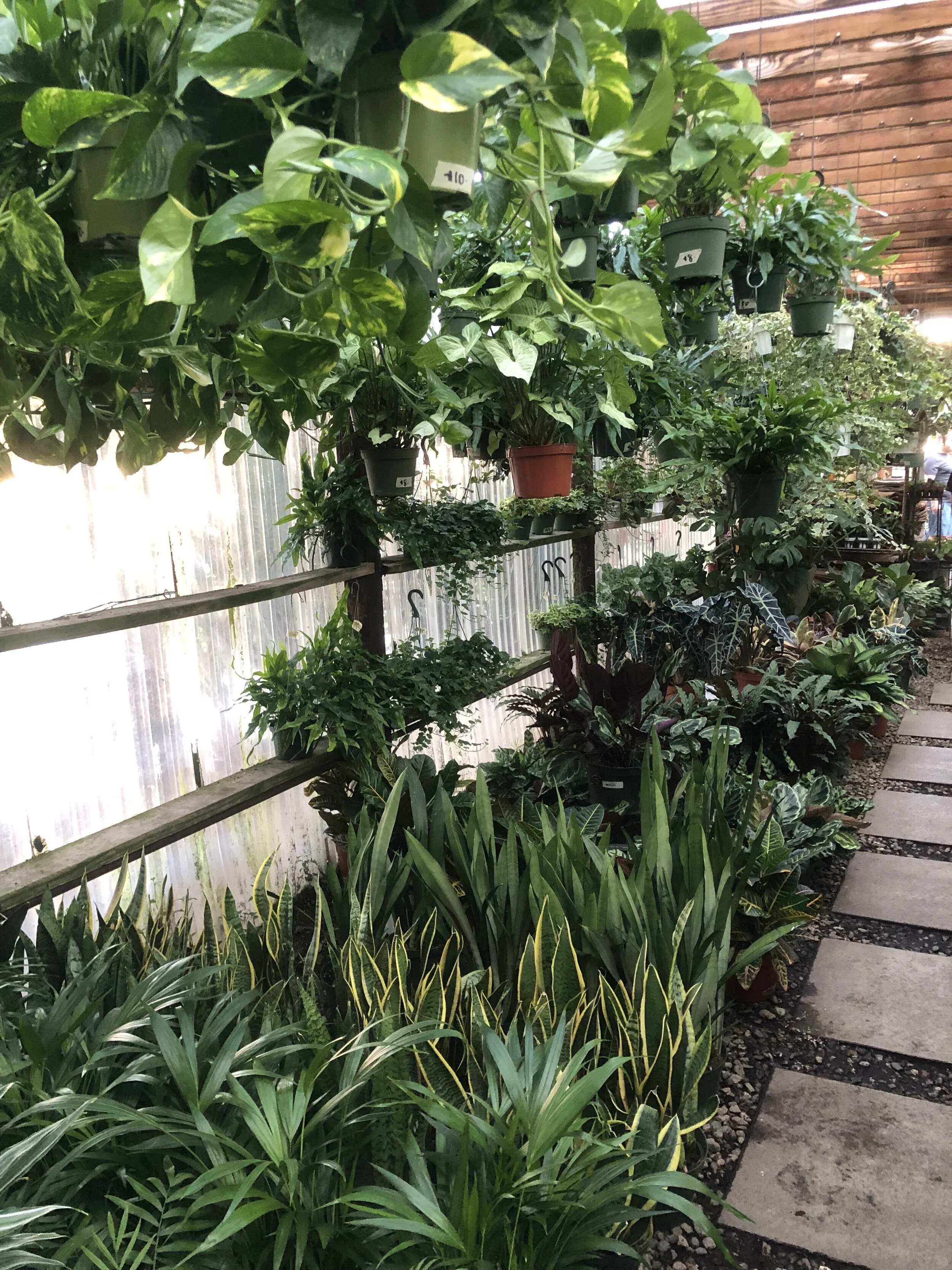 Best Plant Shops In Los Angeles