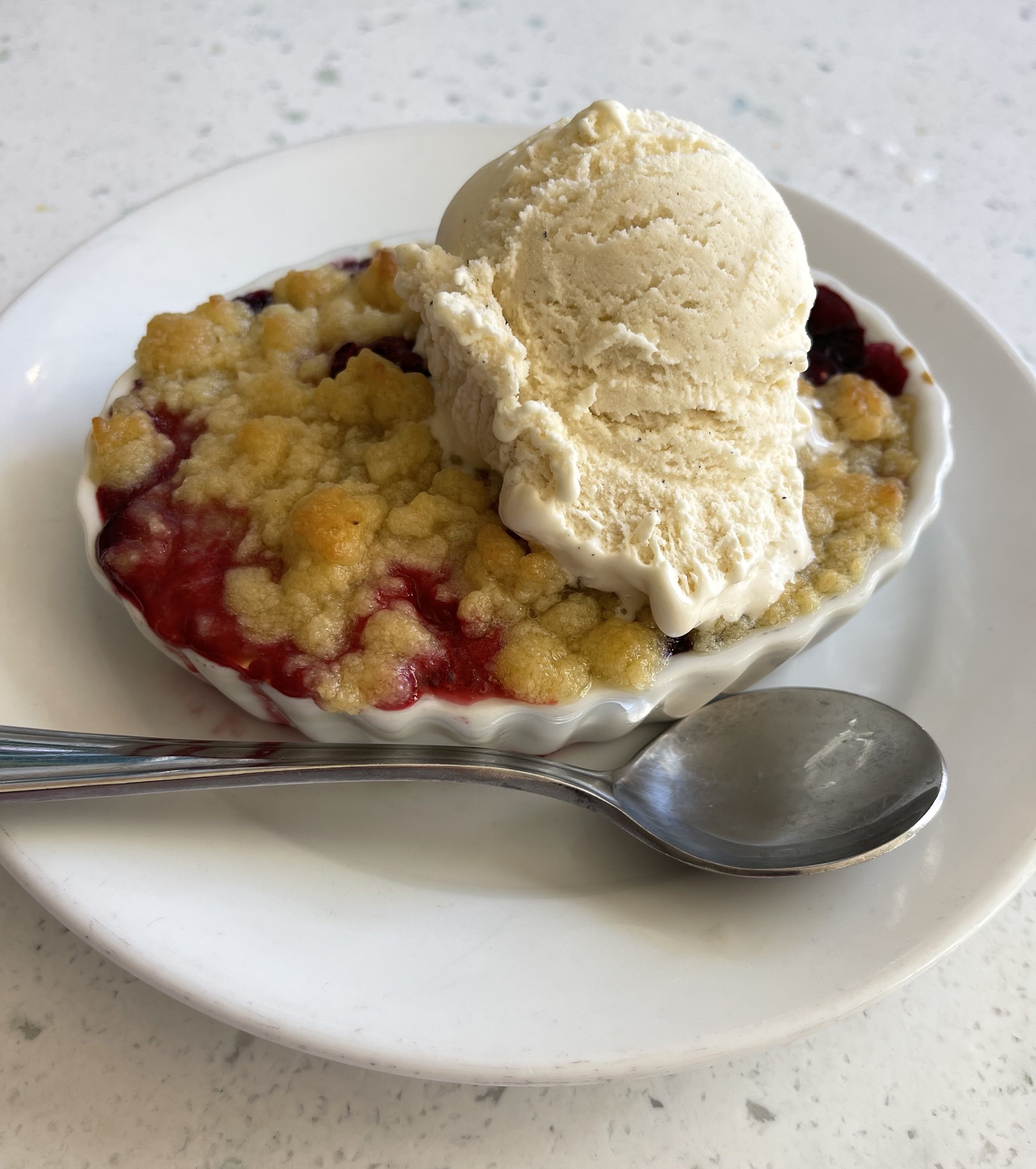 disneyland-cobbler-vegan-river-belle-terrace.jpg