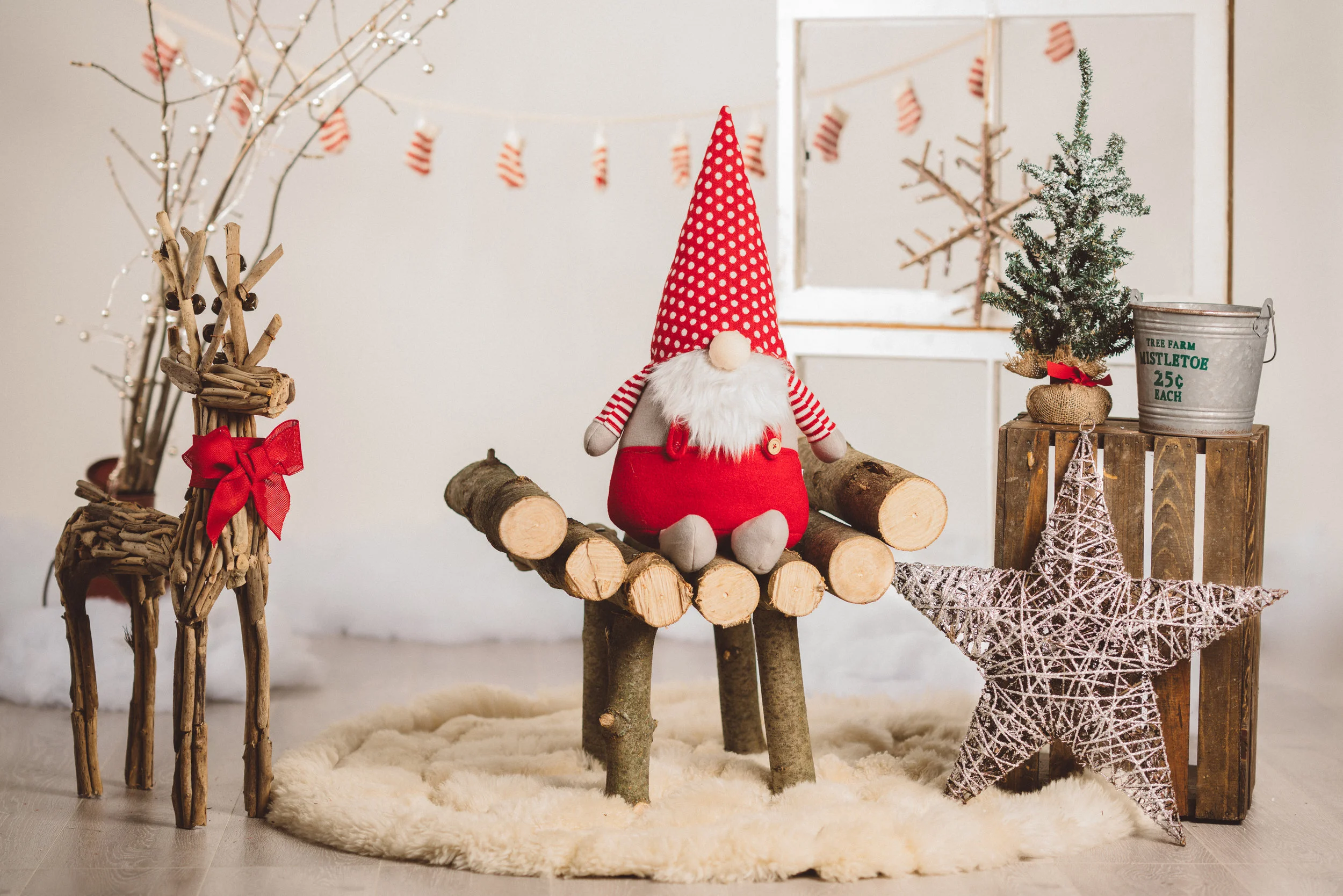 Christmas Mini Sessions