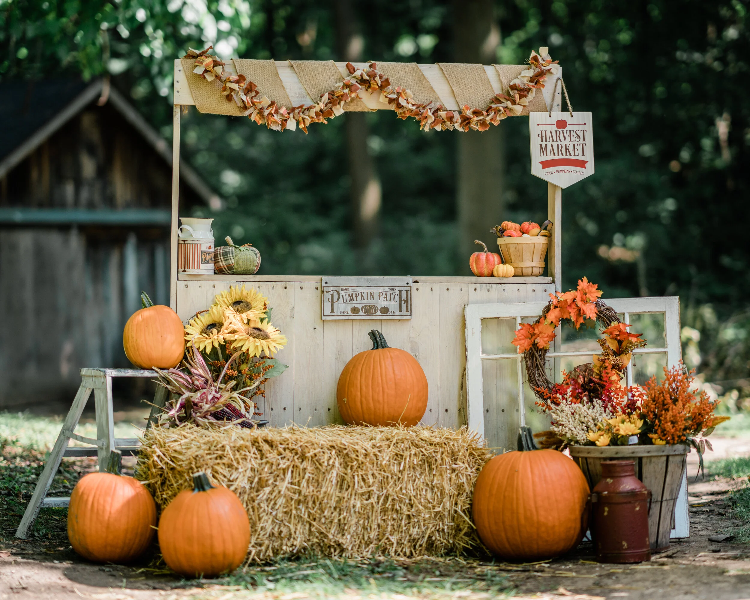 Pumpkin Stand Mini Session