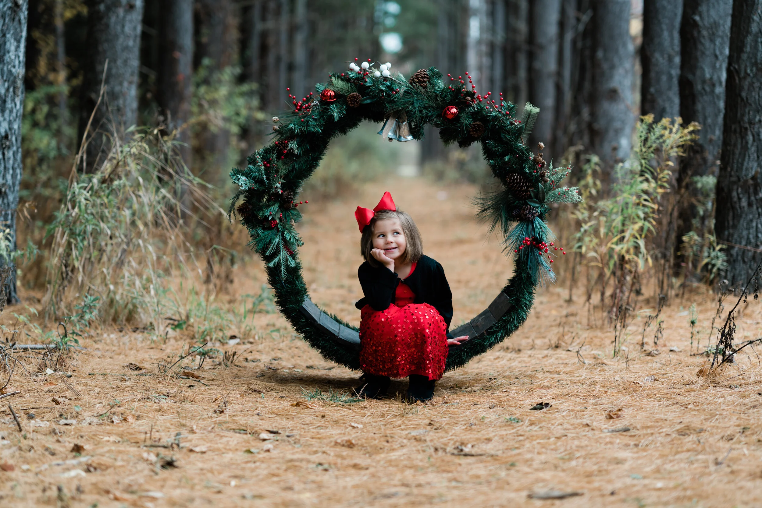 Christmas Mini Sessions