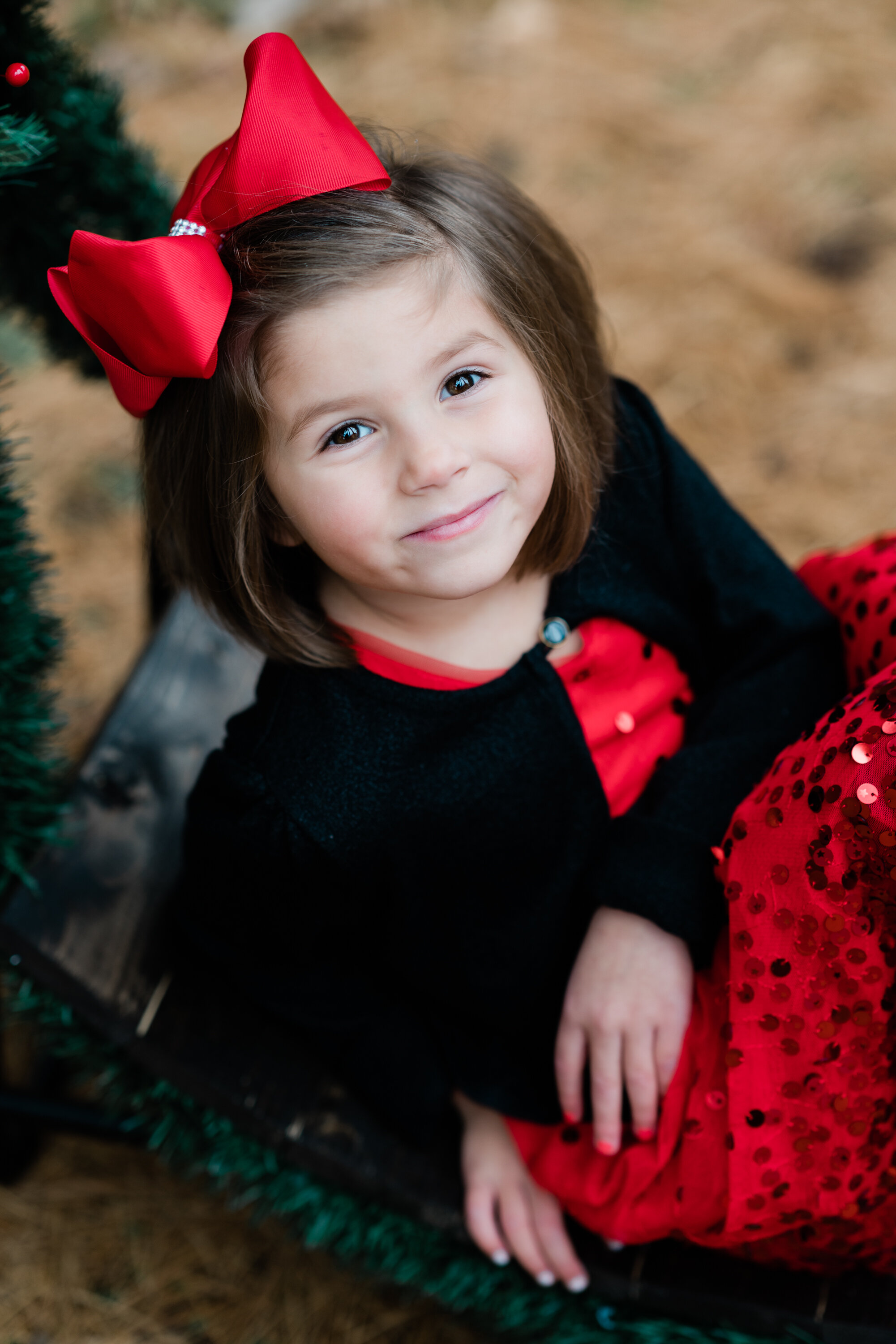 Blog Kara Crandall Portrait Photographer In Howell Mi