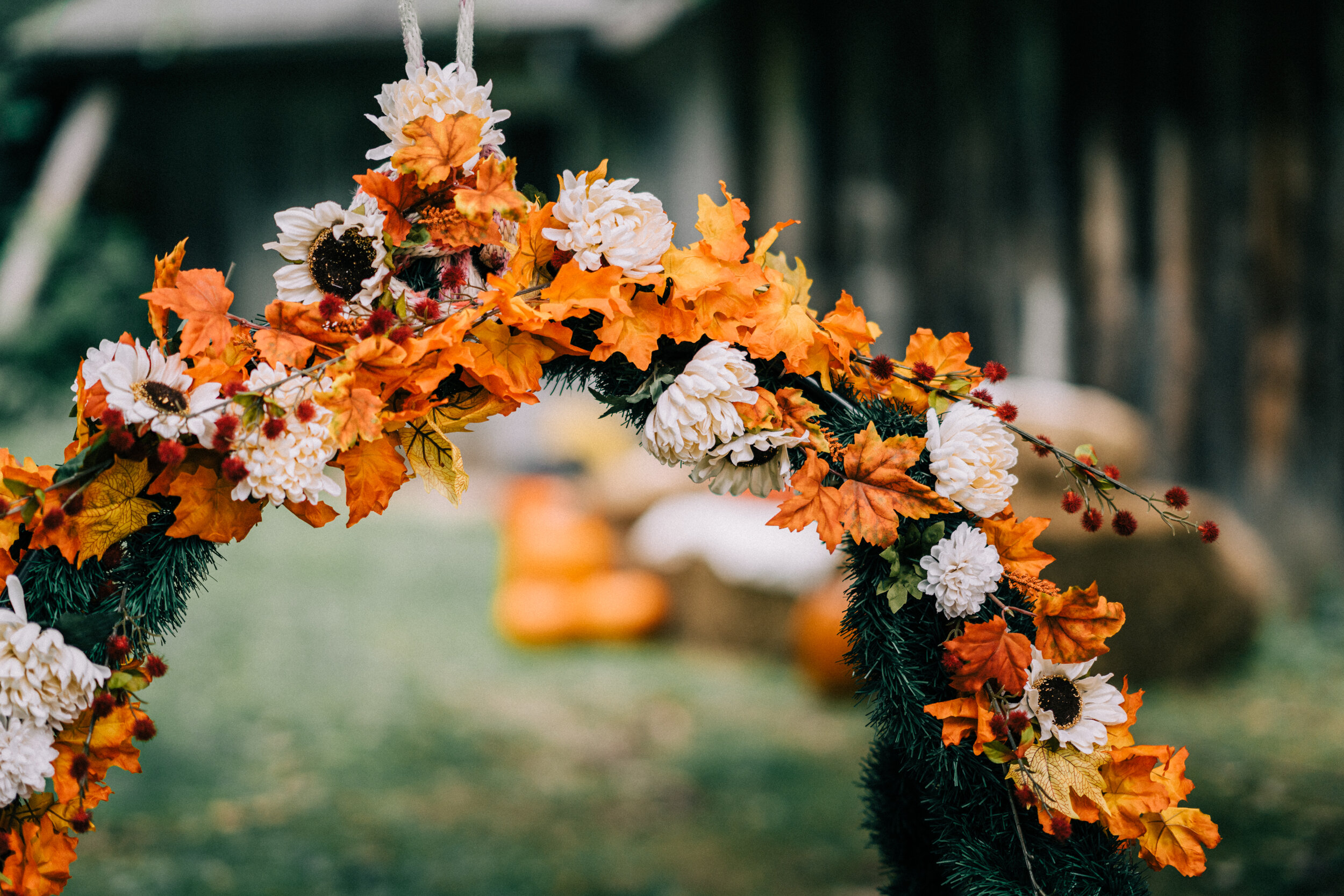 Fall Mini Sessions
