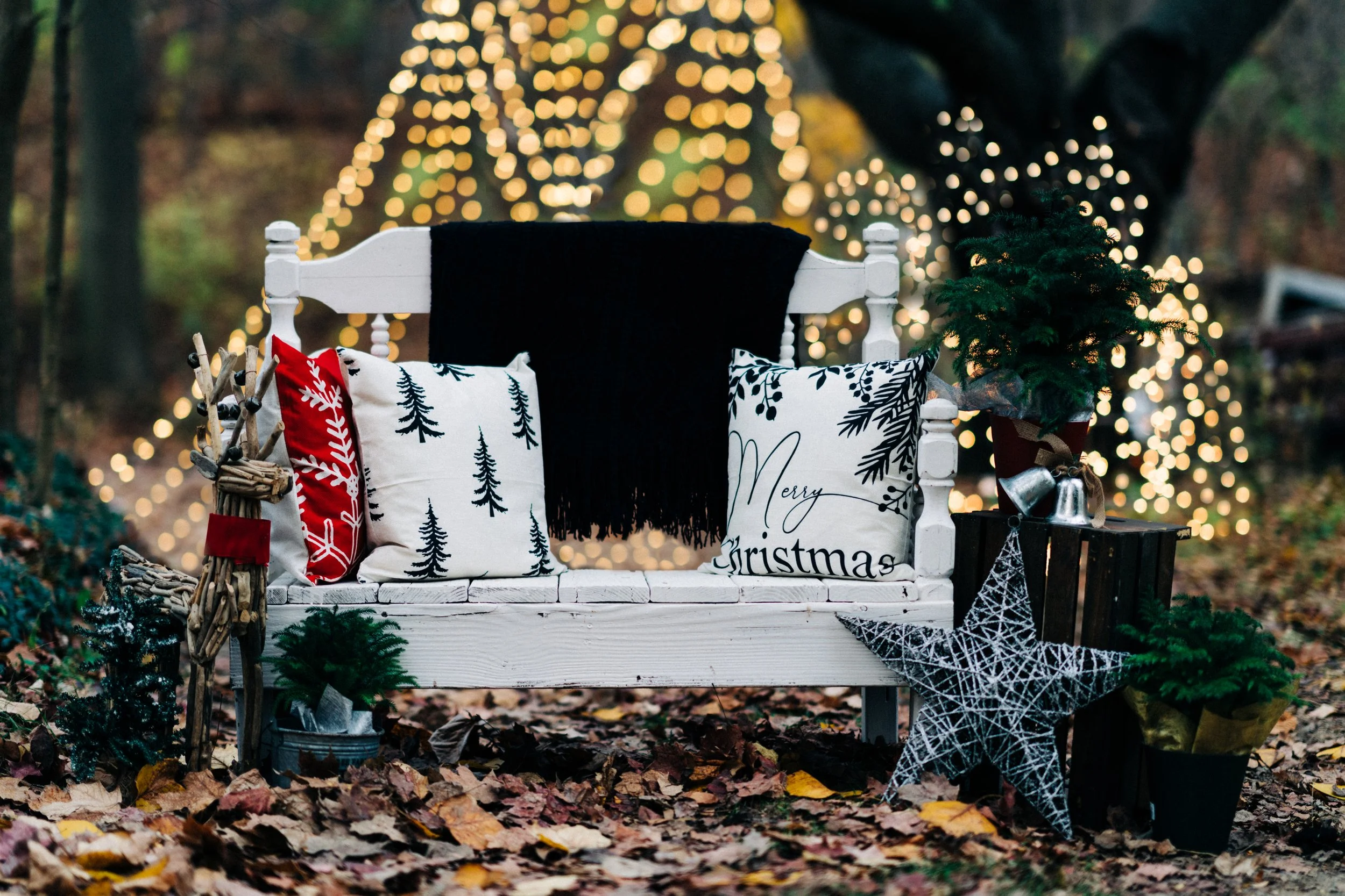 Christmas Mini Sessions