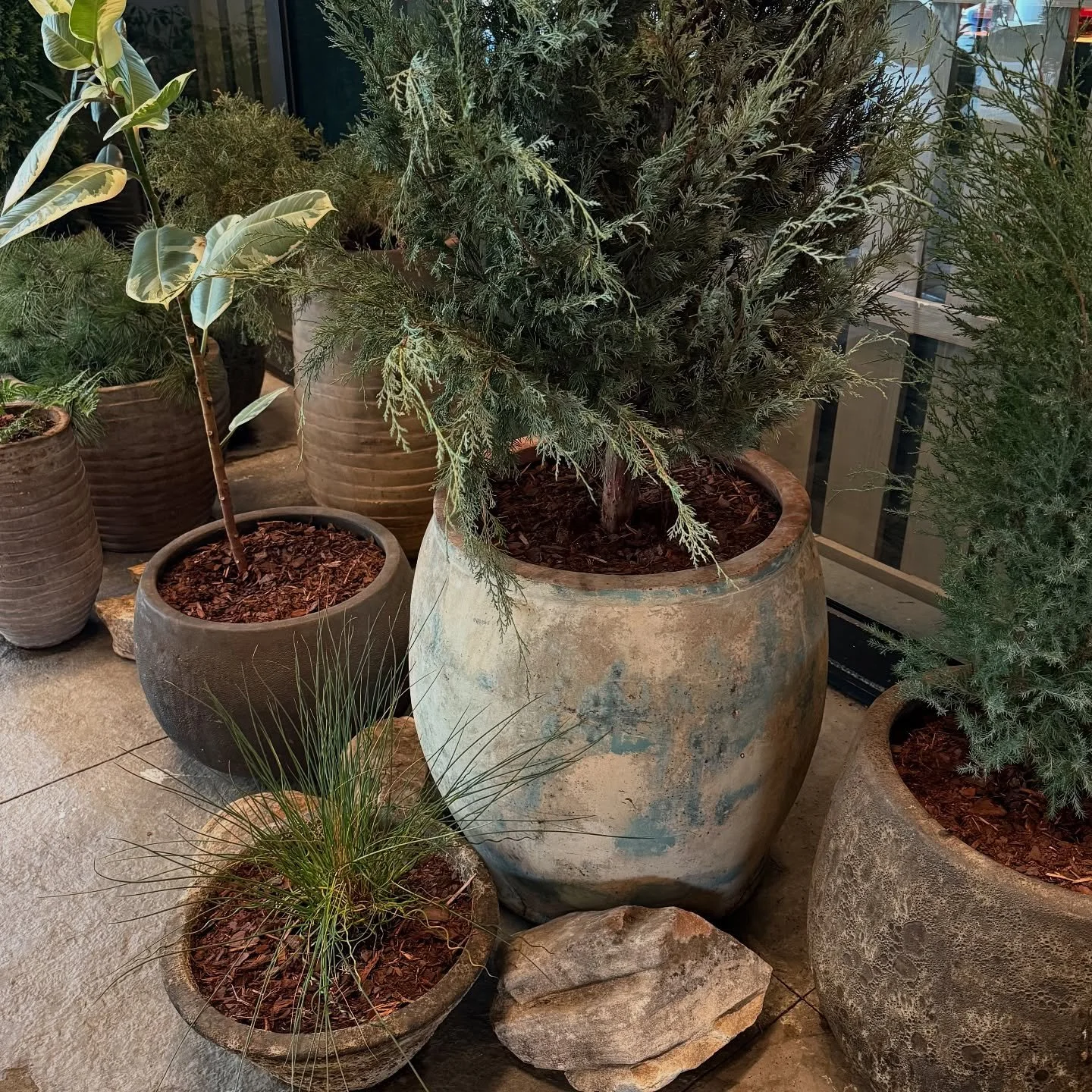 Our beautiful Campania glazed terra cotta planters, spotted in the wild @1hotels 🪨 We carry a curated selection in-store @reneesoutdoor&mdash;come explore what&rsquo;s in stock, or let us help you special order the perfect piece.
