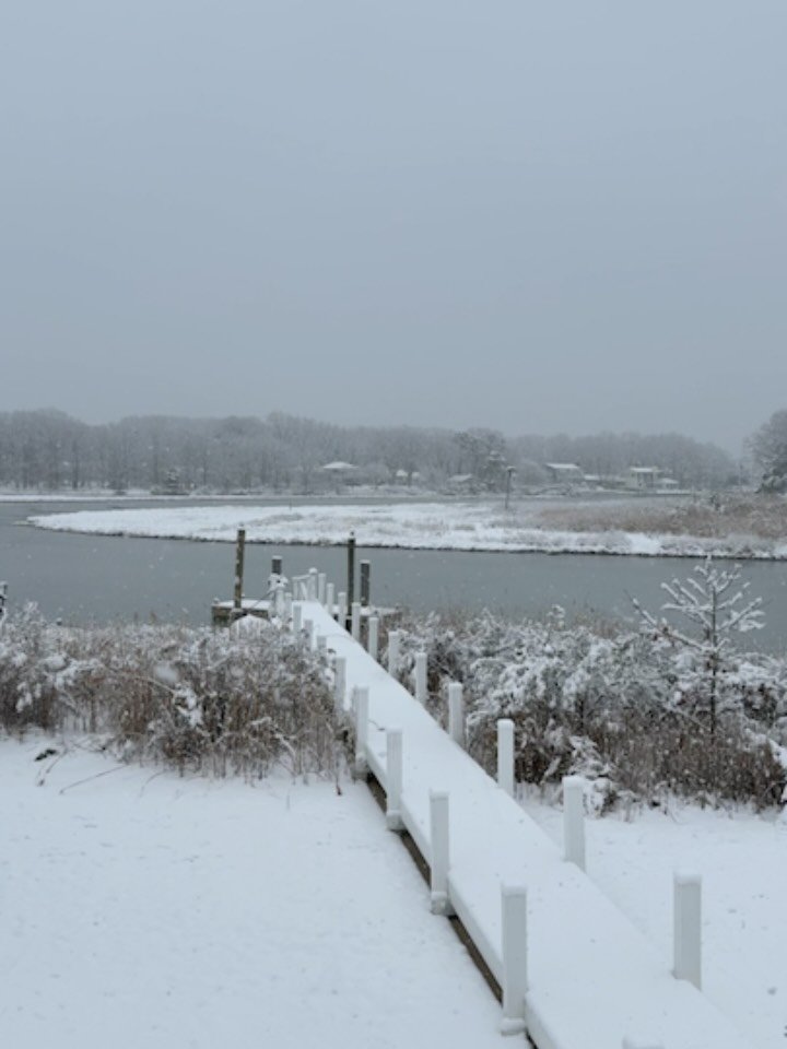 Enjoying a snowy morning at home🌨️ 

The store is open today until 4PM. Enjoy some holiday shopping. Gift certificates and free gift wrapping available!