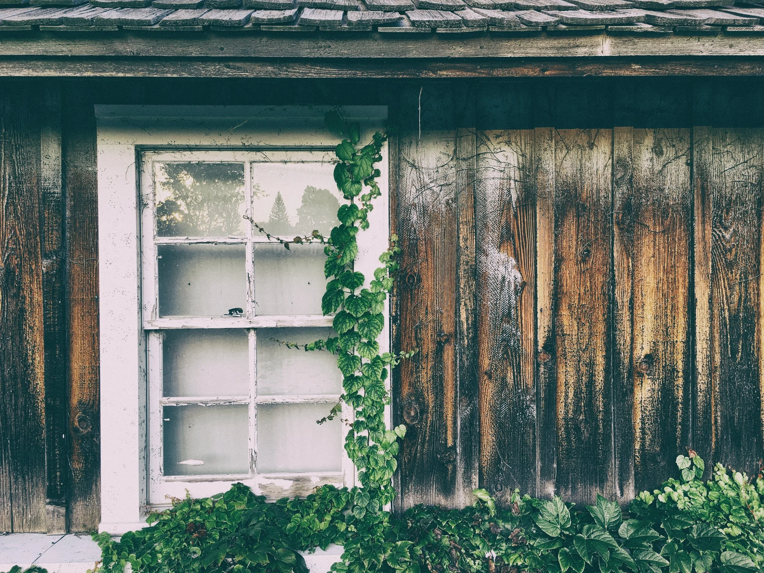 Photo by Aaron Burden on Unsplash