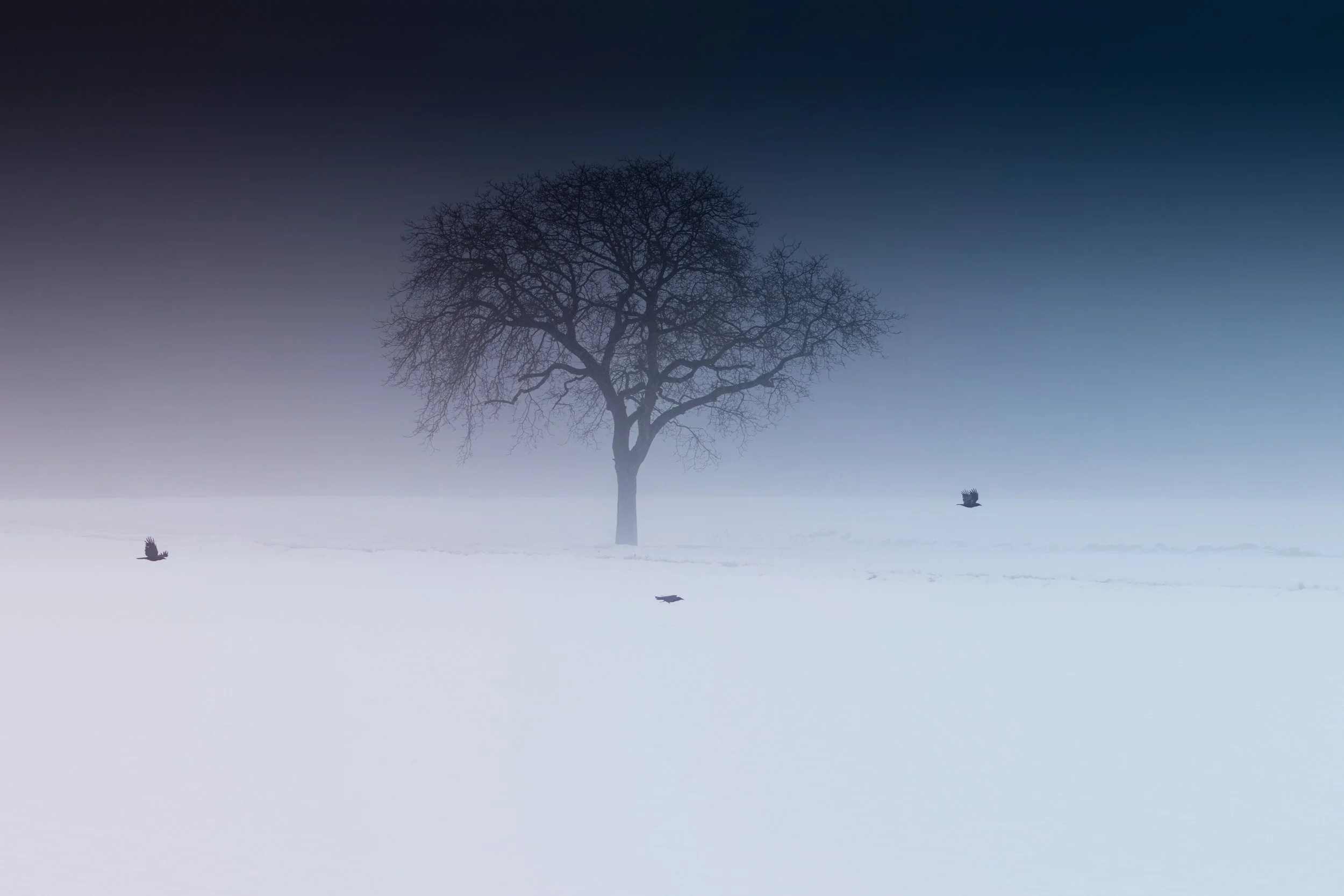 Photo by Martin Adams on Unsplash