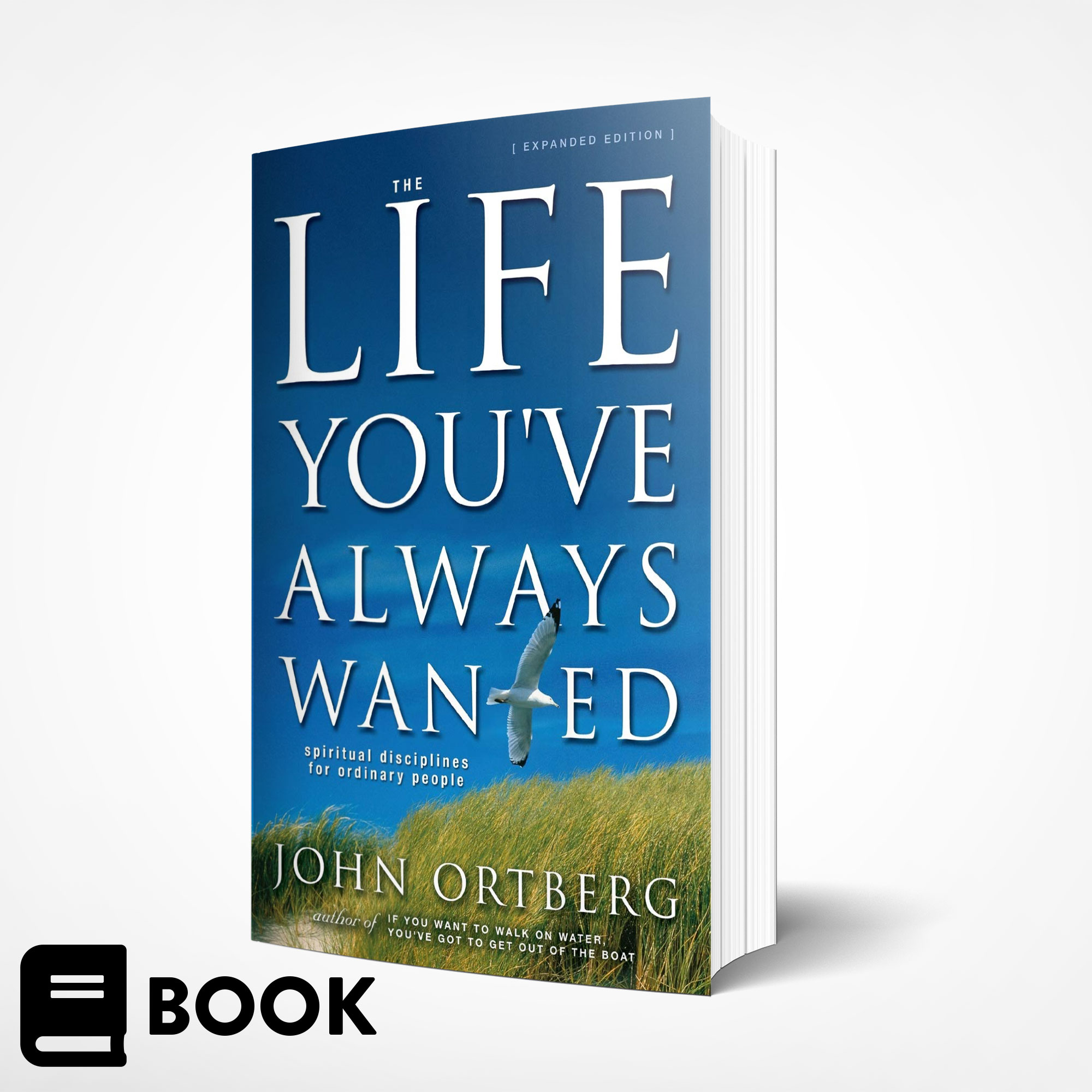 The Life You’ve Always Wanted