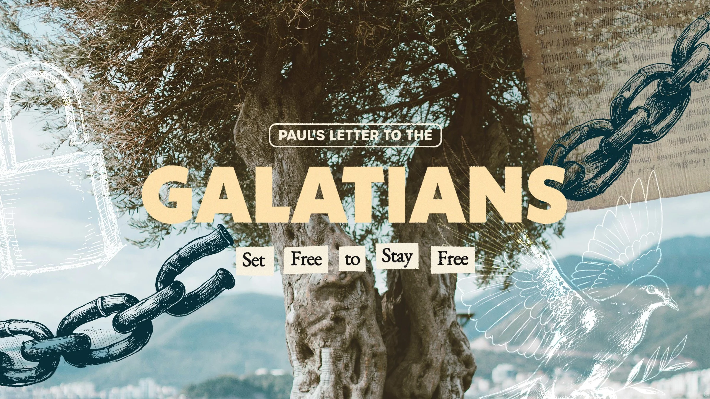 NP-Galatians-BibleStudy-3840x2160.jpg