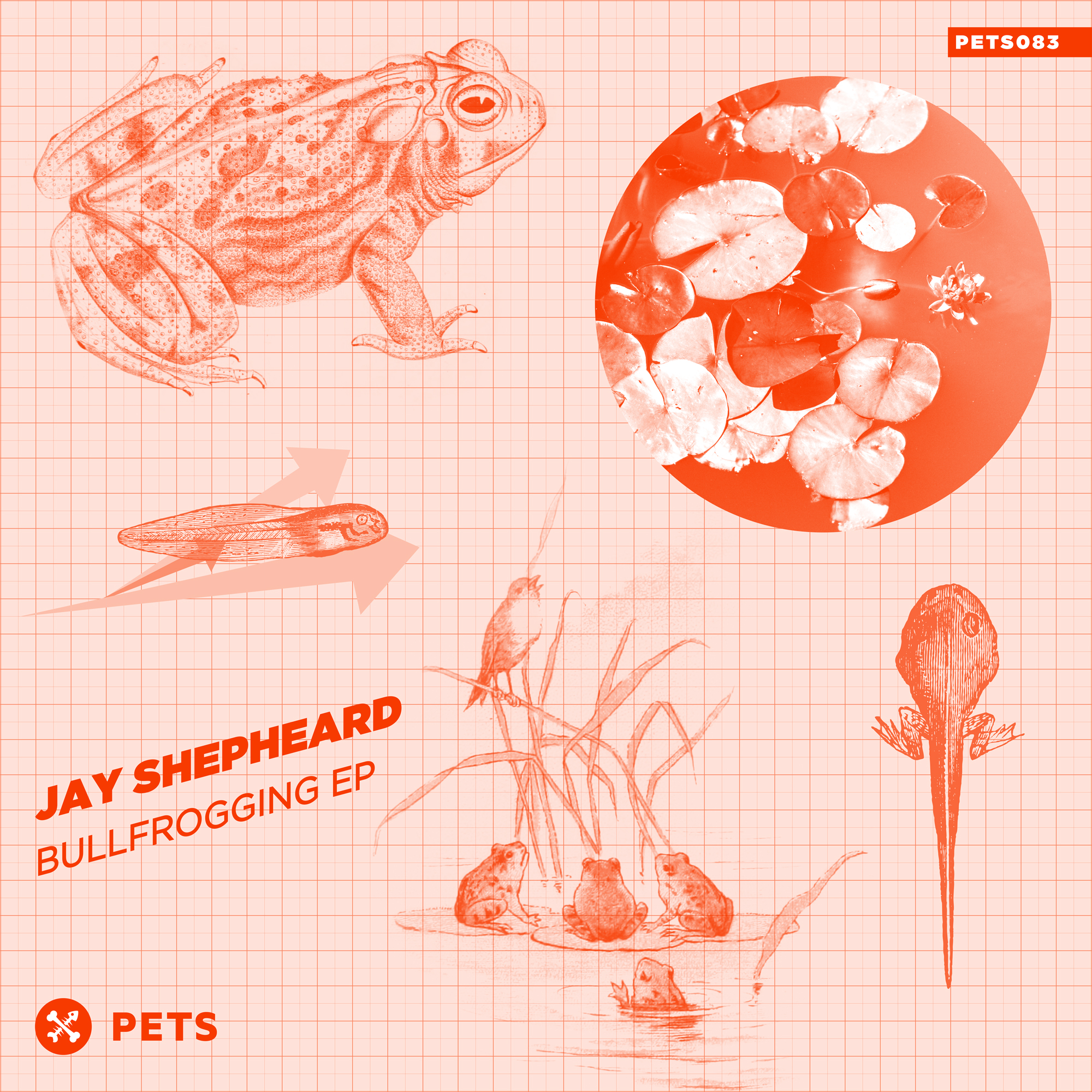 Jay Shepheard - Bullfrogging EP