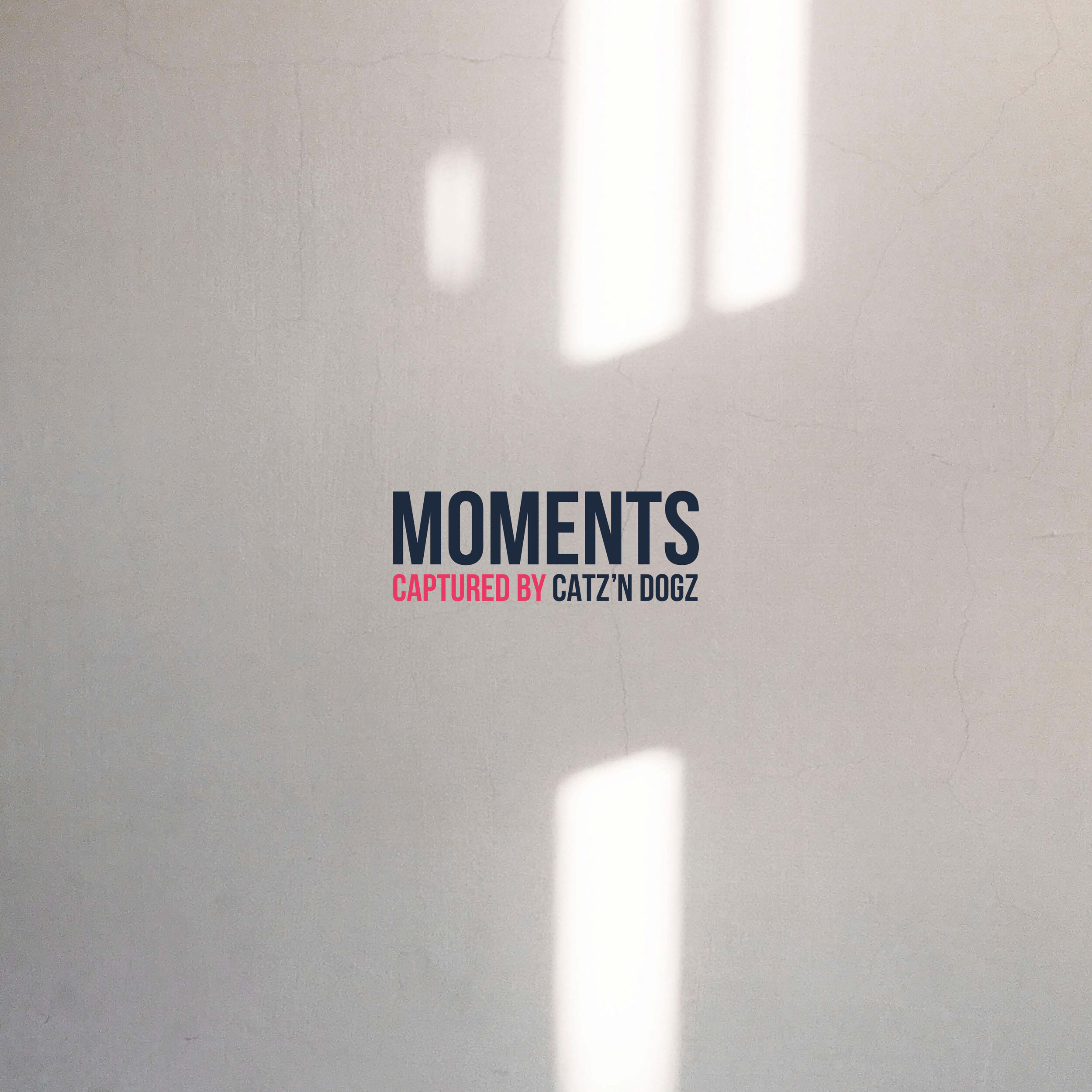 Catz 'n Dogz - Moments [PETS121]