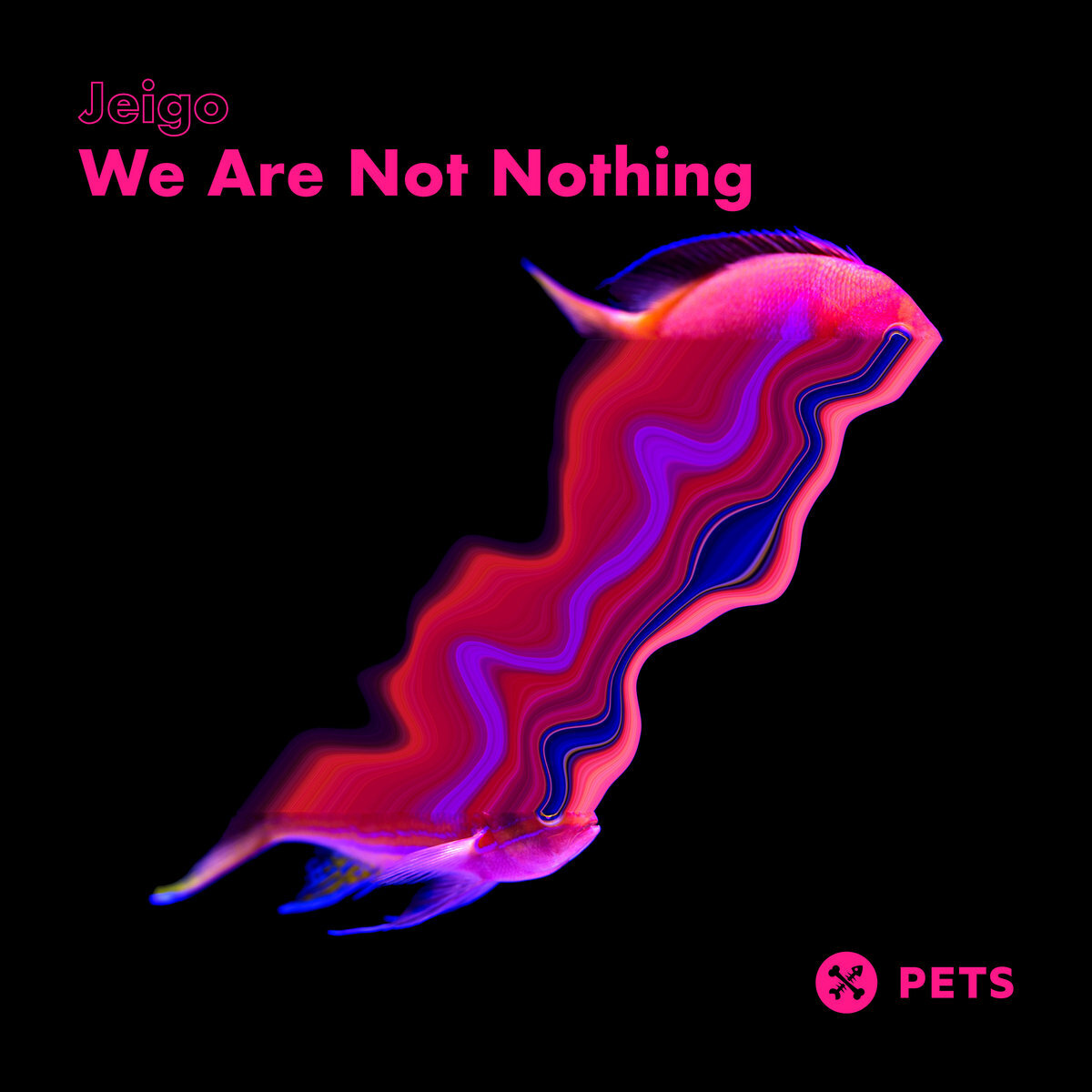 Jeigo - We Are Not Nothing [PETS124]
