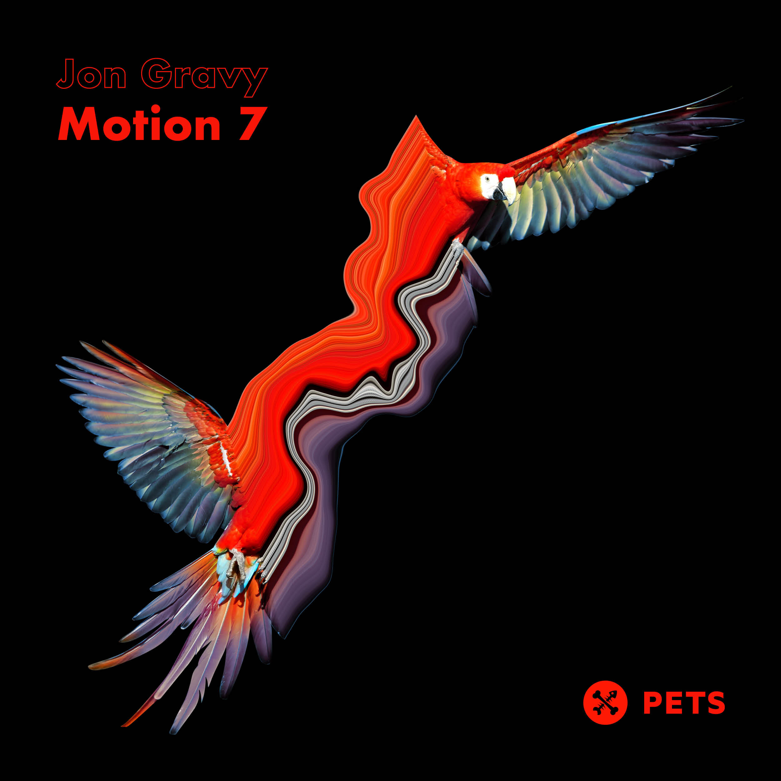 Jon Gravy - Motion 7 PETS135