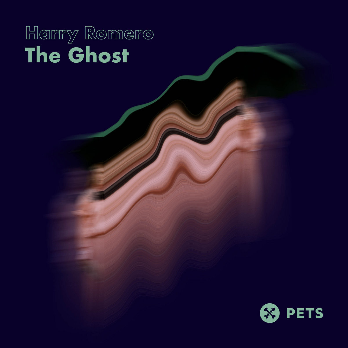 Harry Romero - The Ghost [PETS140]