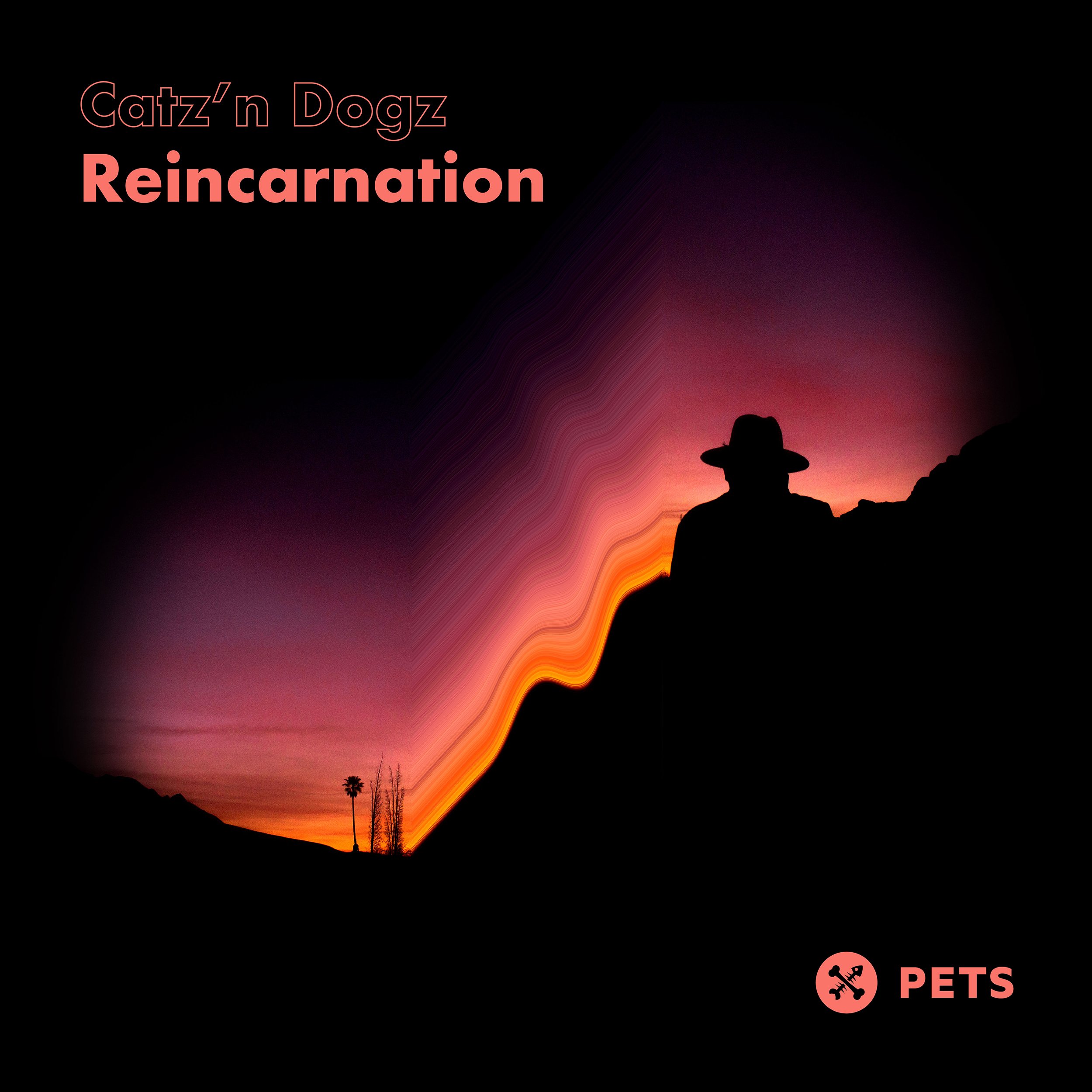 Catz 'n Dogz - Reincarnation [PETS166]