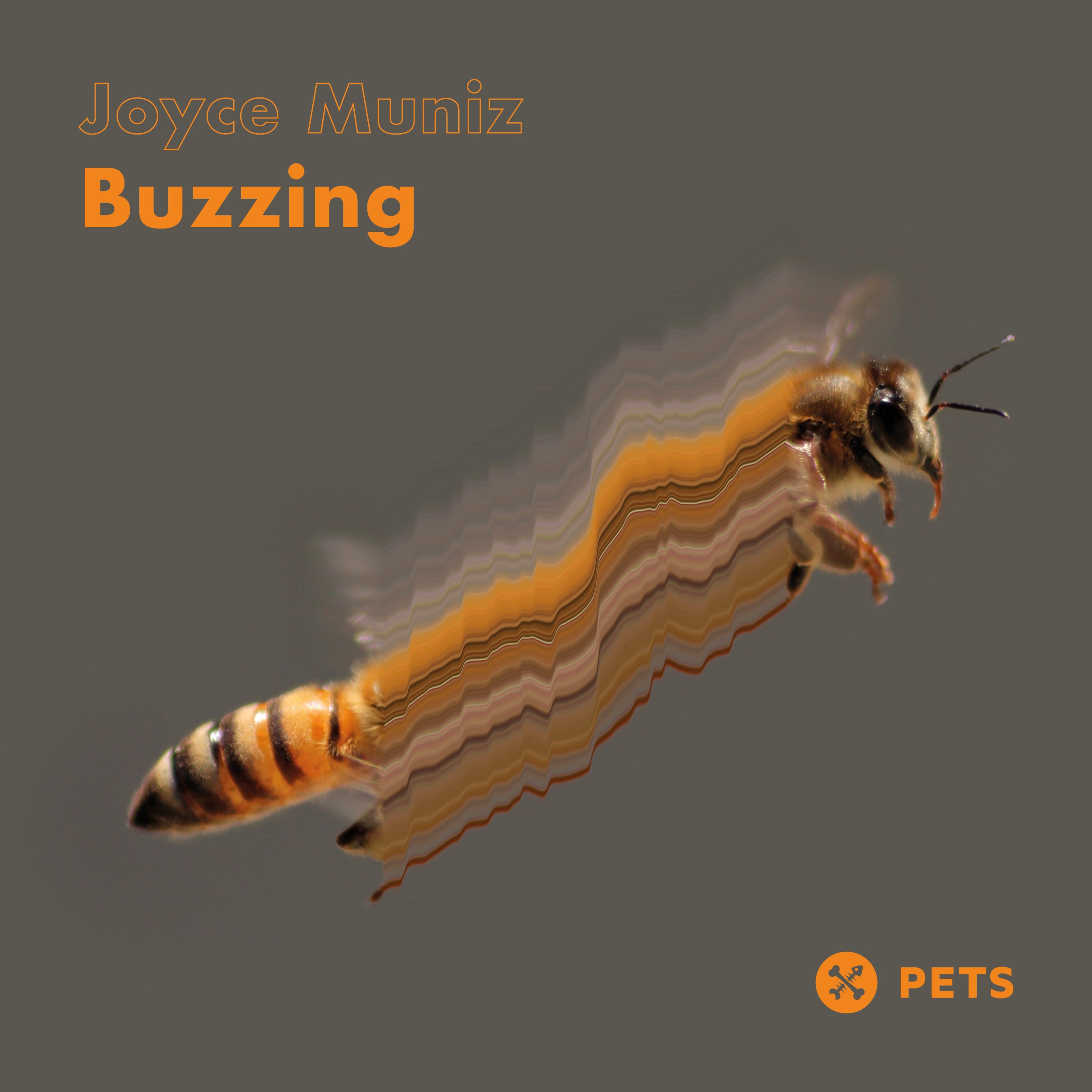Joyce Muniz - Buzzing [PETS173]