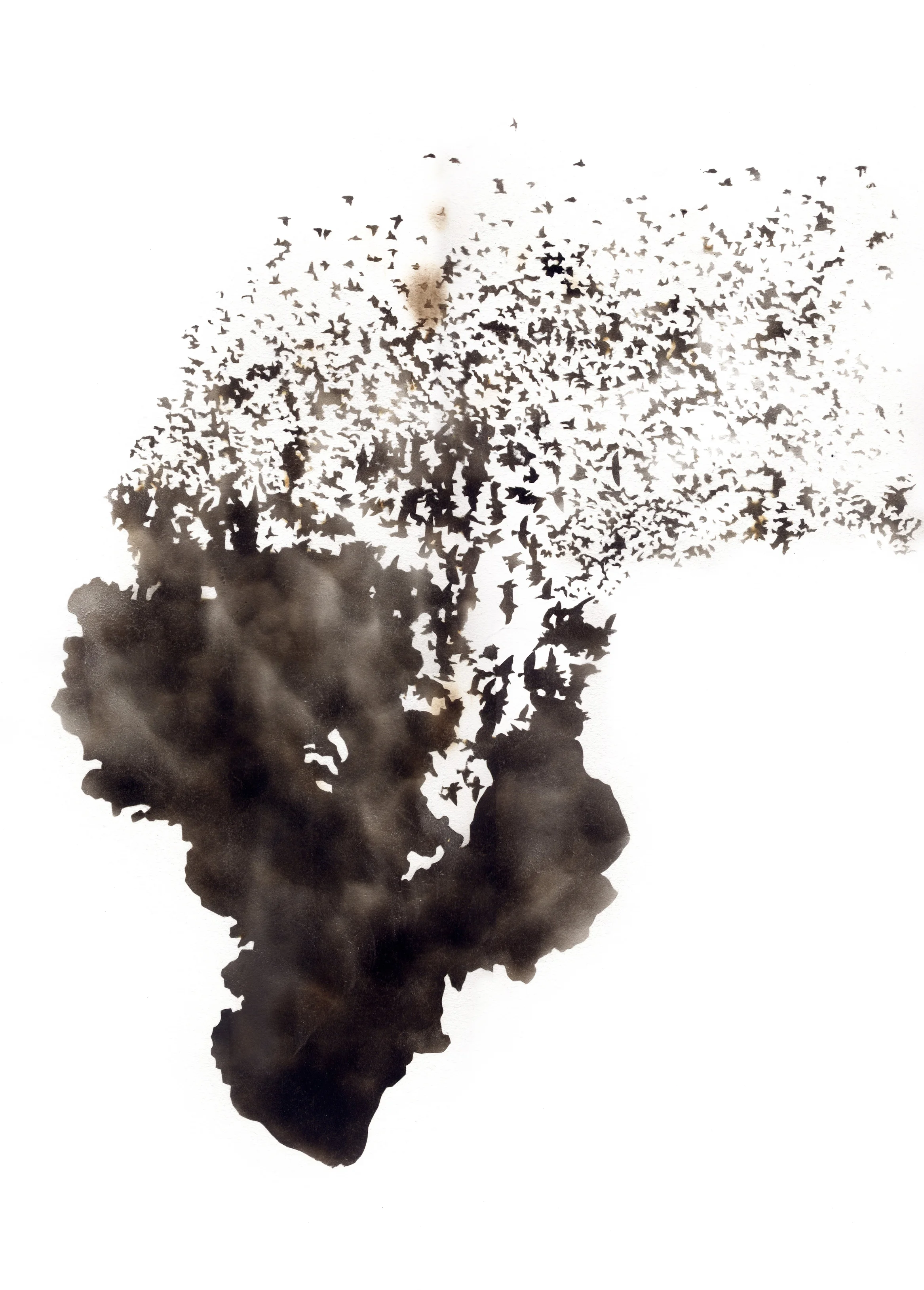 Diaspora