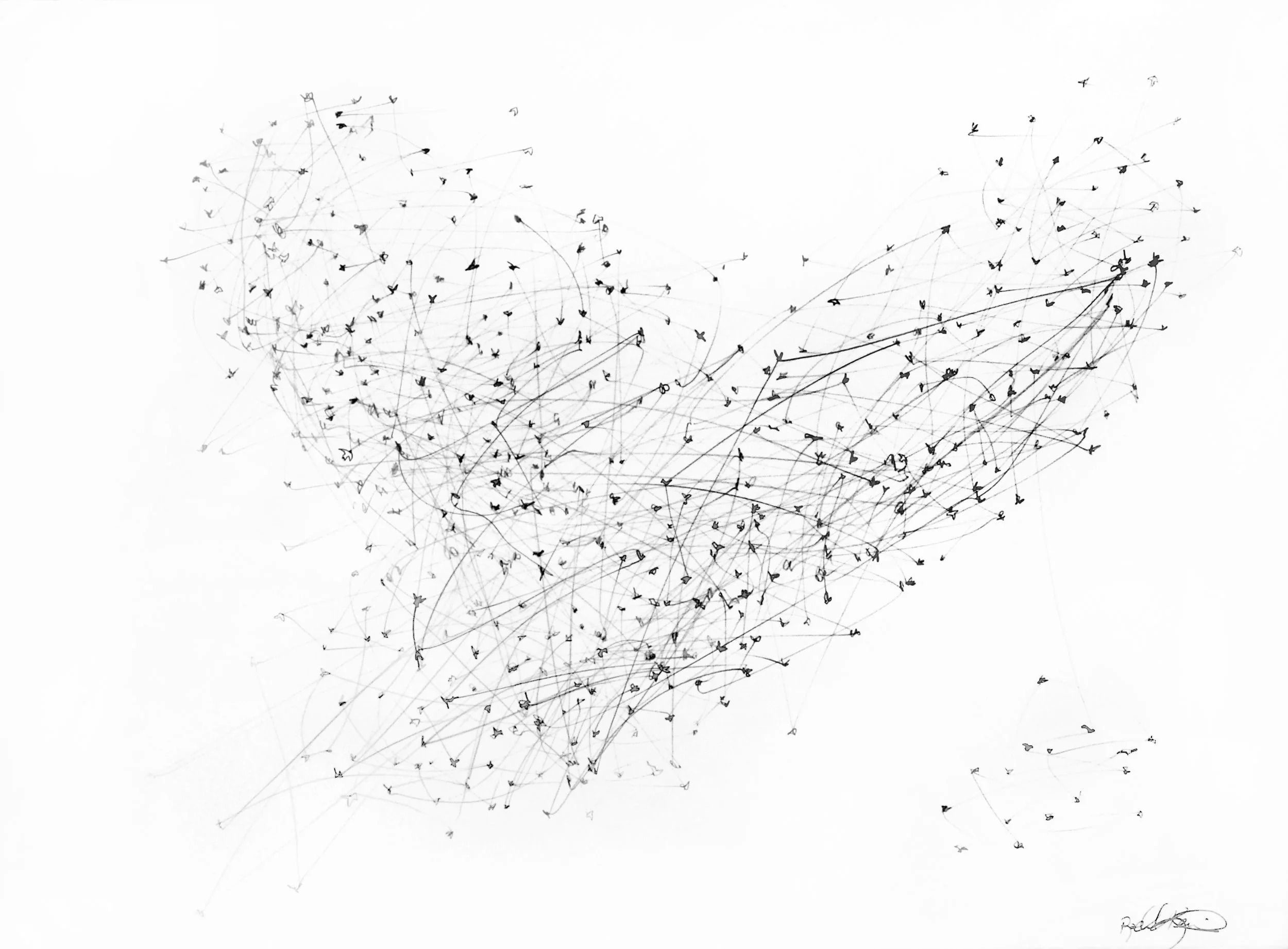 Flight Patterns III