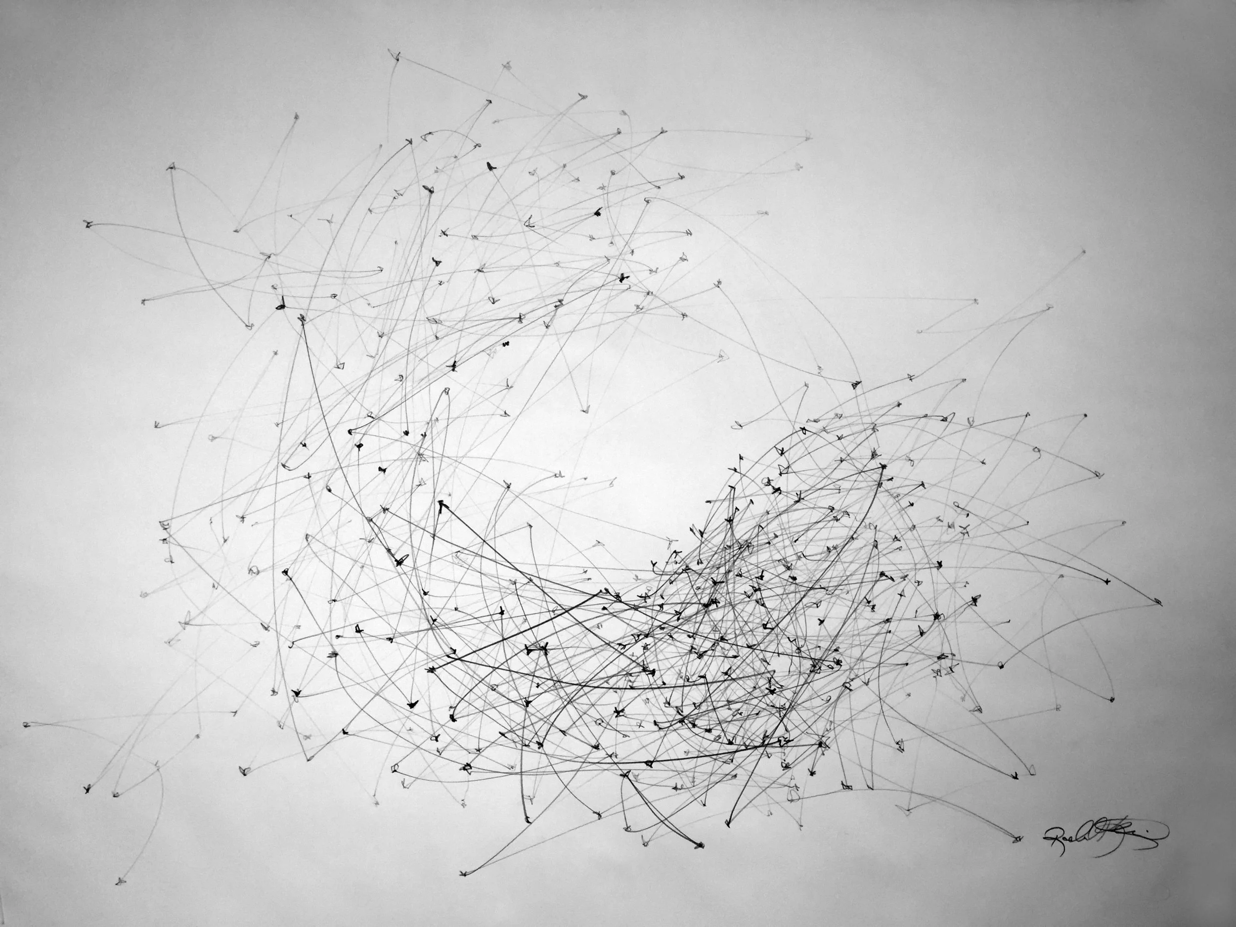 Flight Patterns IV.jpg