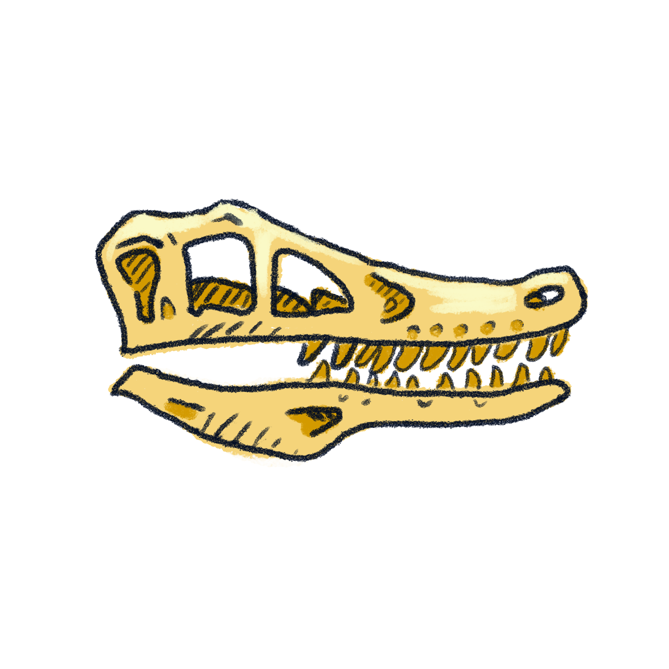 Raptor_asset.png