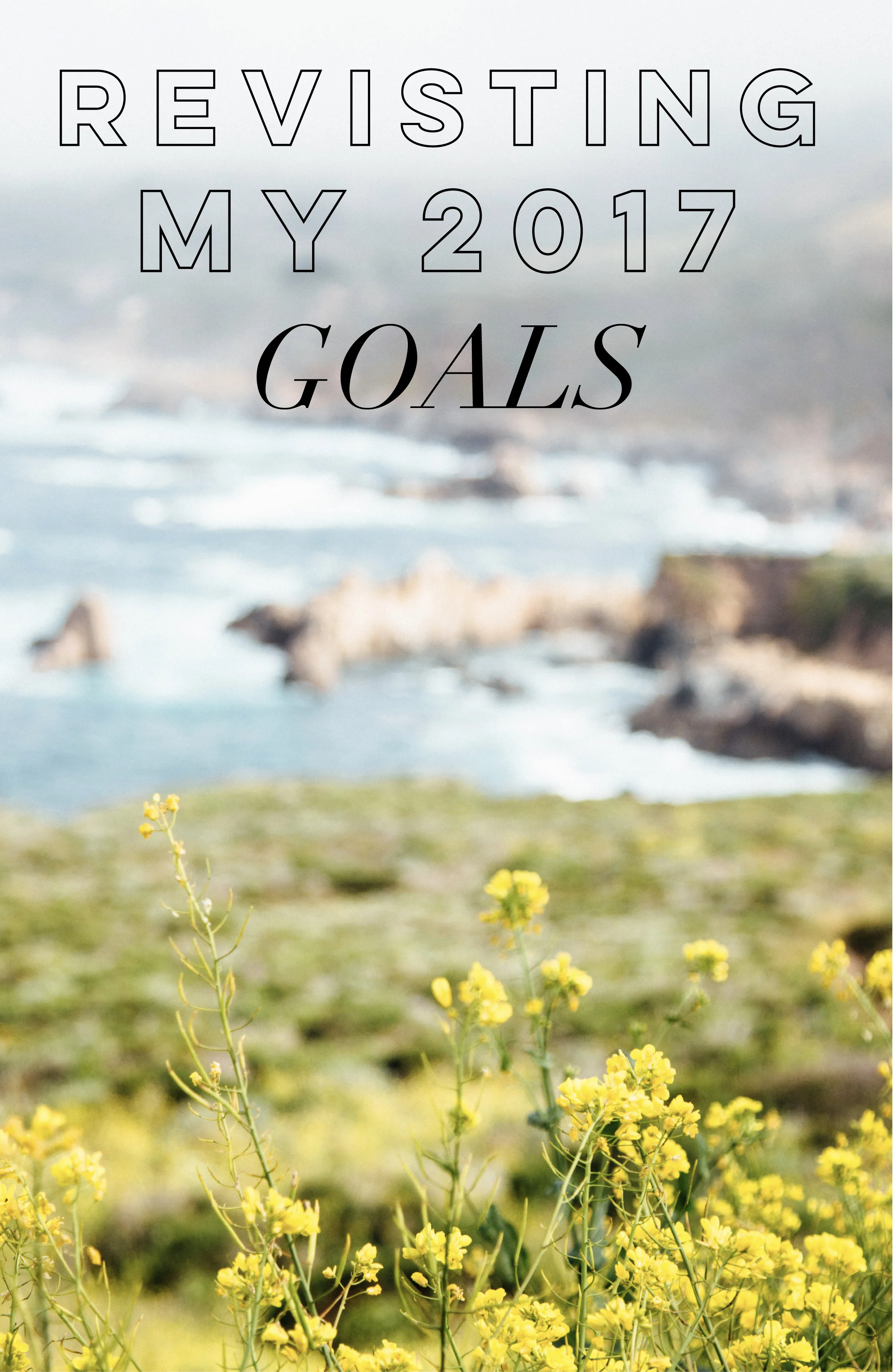 Revisiting My 2017 Goals
