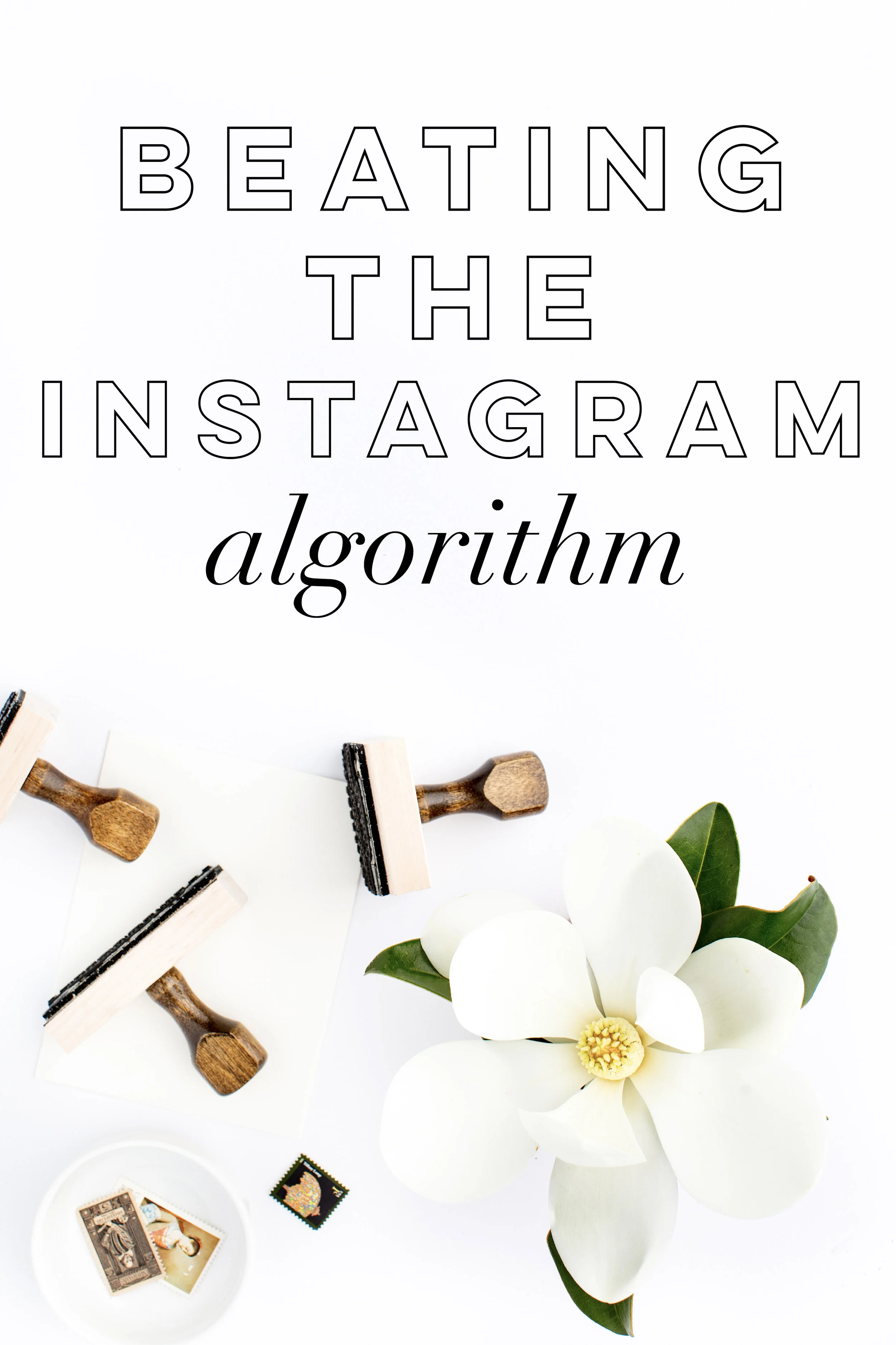 Beating the Instagram Algorithm