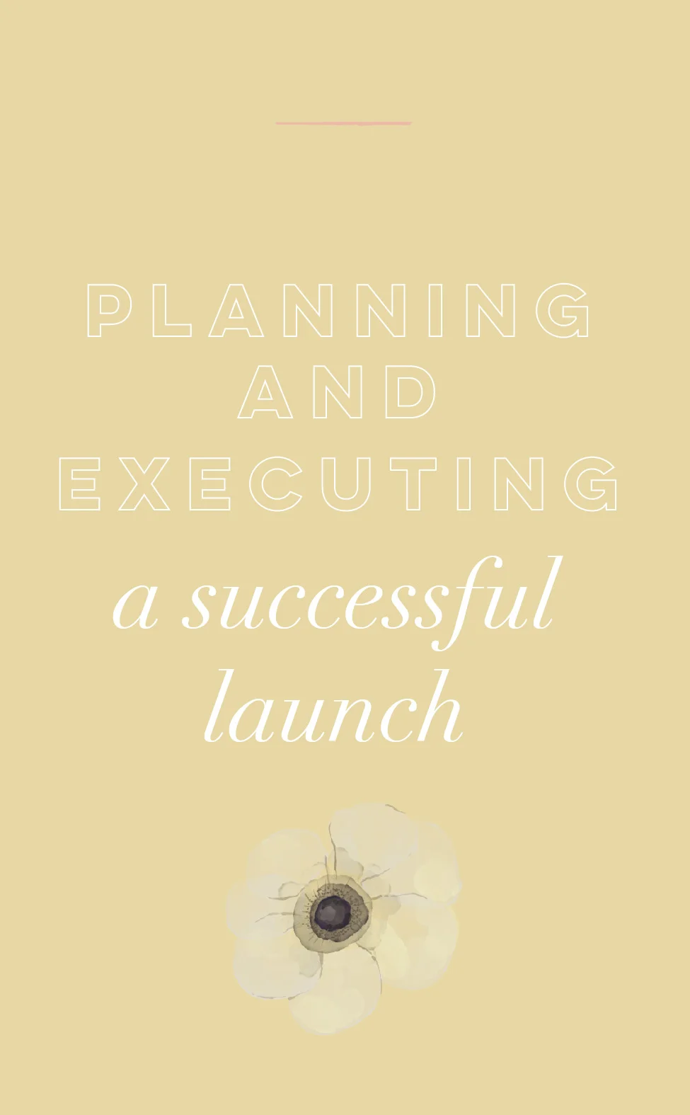 planningasuccessfullaunch.jpg