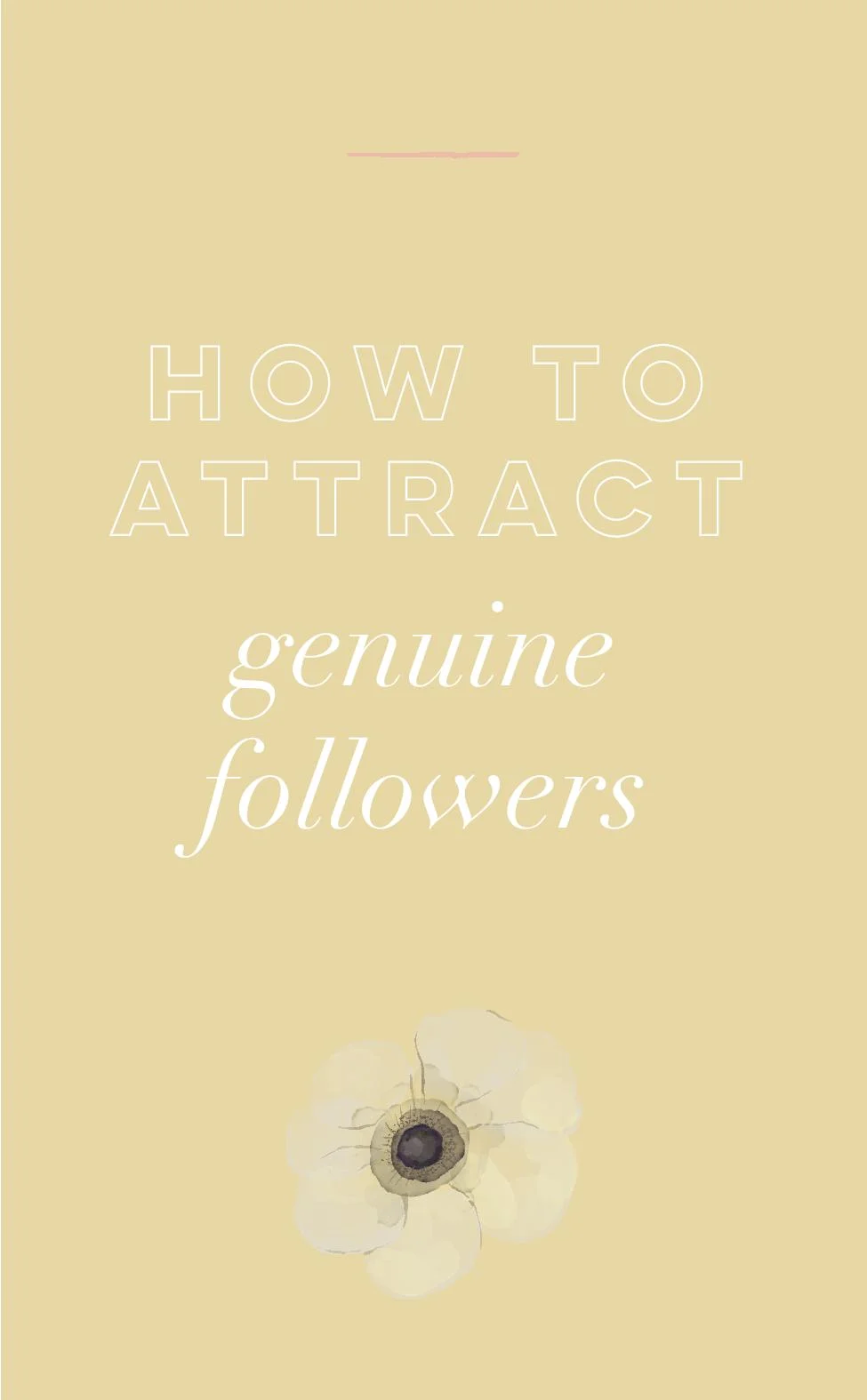 How to Attract Genuine Followers