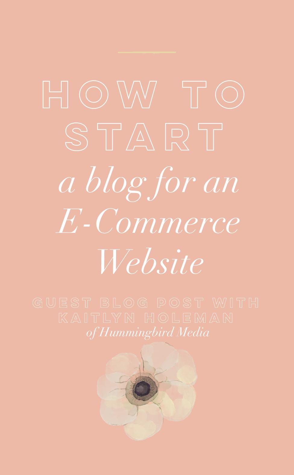 Today's post is a guest blog post written by Kaitlyn Holeman of Hummingbird Media .