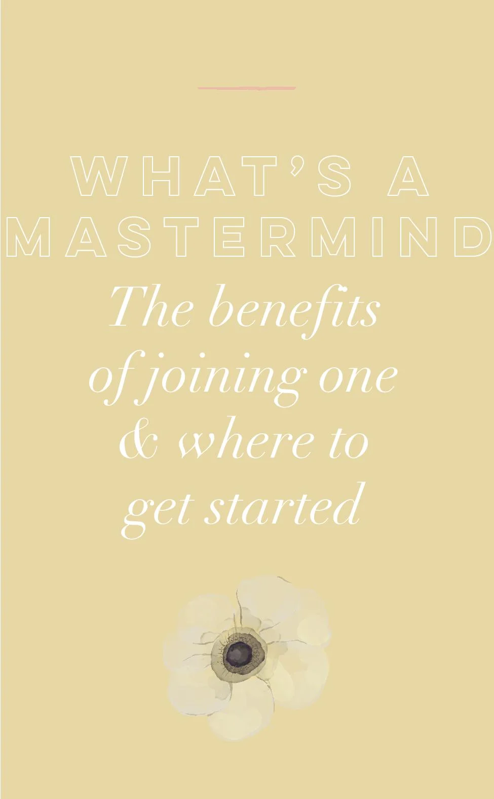 What’s A Mastermind? The benefits of joining one and where to get started + a free template for emailing your dreamies to join yours!