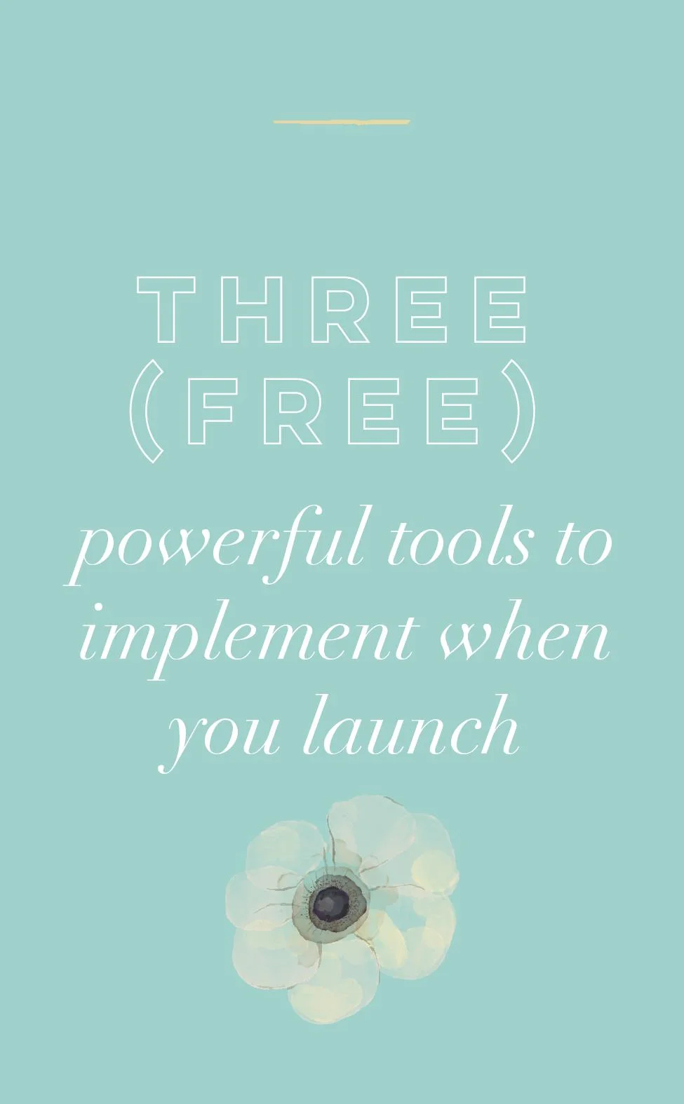 Three (FREE) Powerful Tools to Implement When You Launch