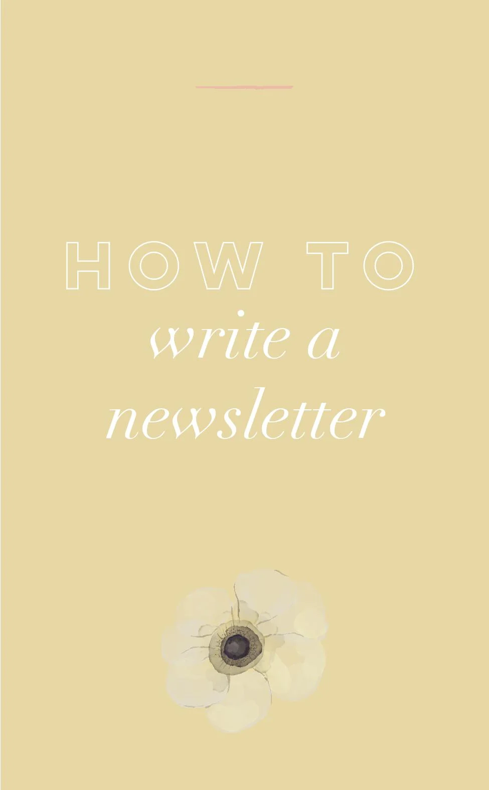How to Write a Newsletter