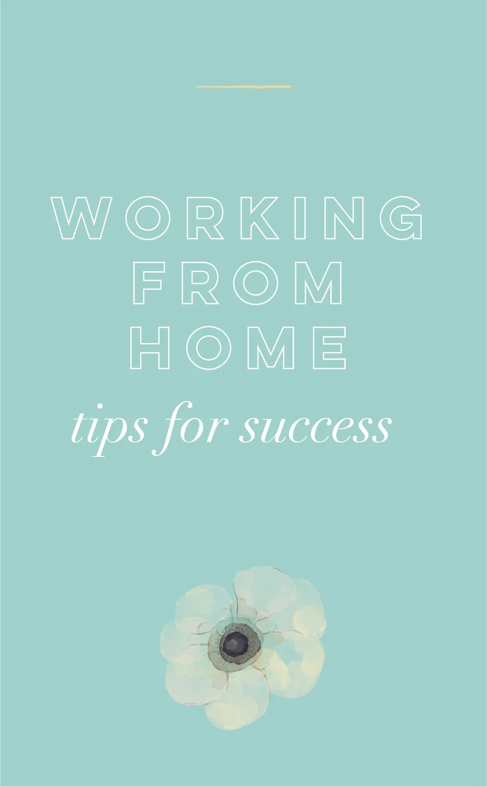 Working from Home | Tips for Success
