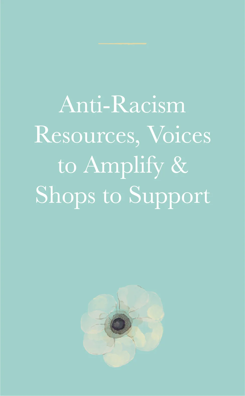 Anti Racism Resources, Voices to Amplify, and Shops to support