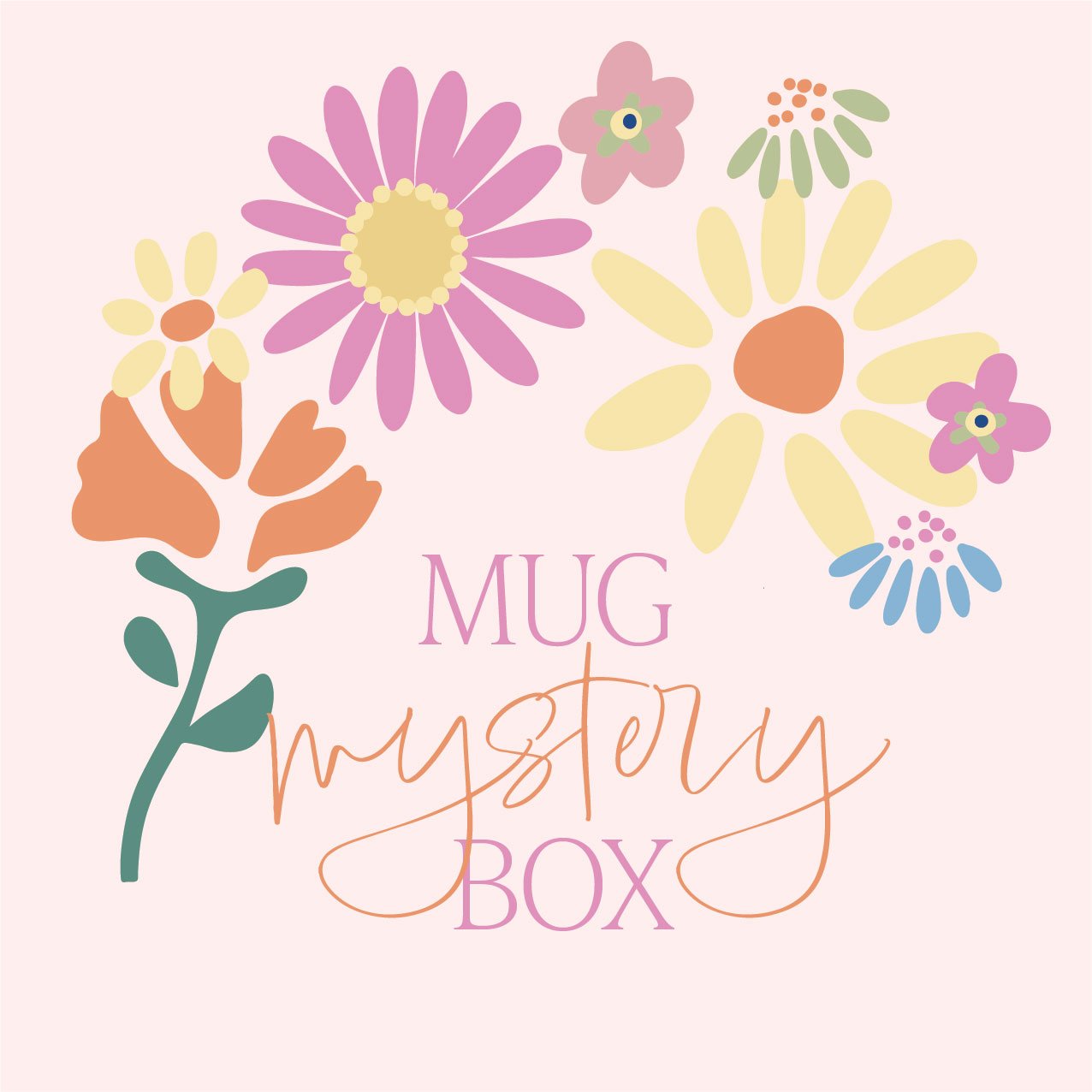 mugmysterybox.jpg