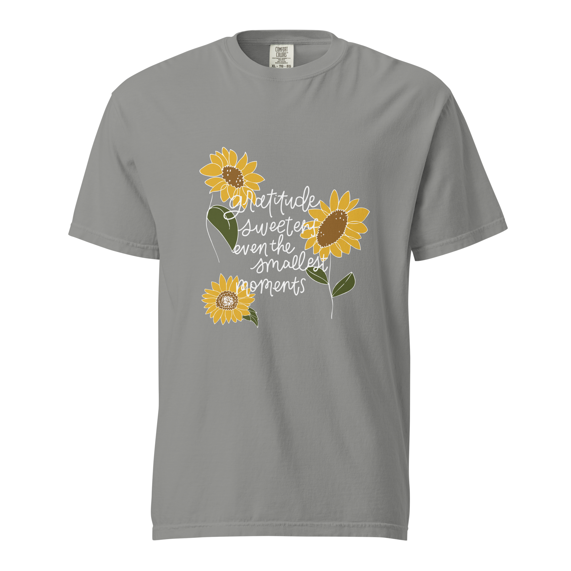 unisex-garment-dyed-heavyweight-t-shirt-grey-front-68ae38f630781.png